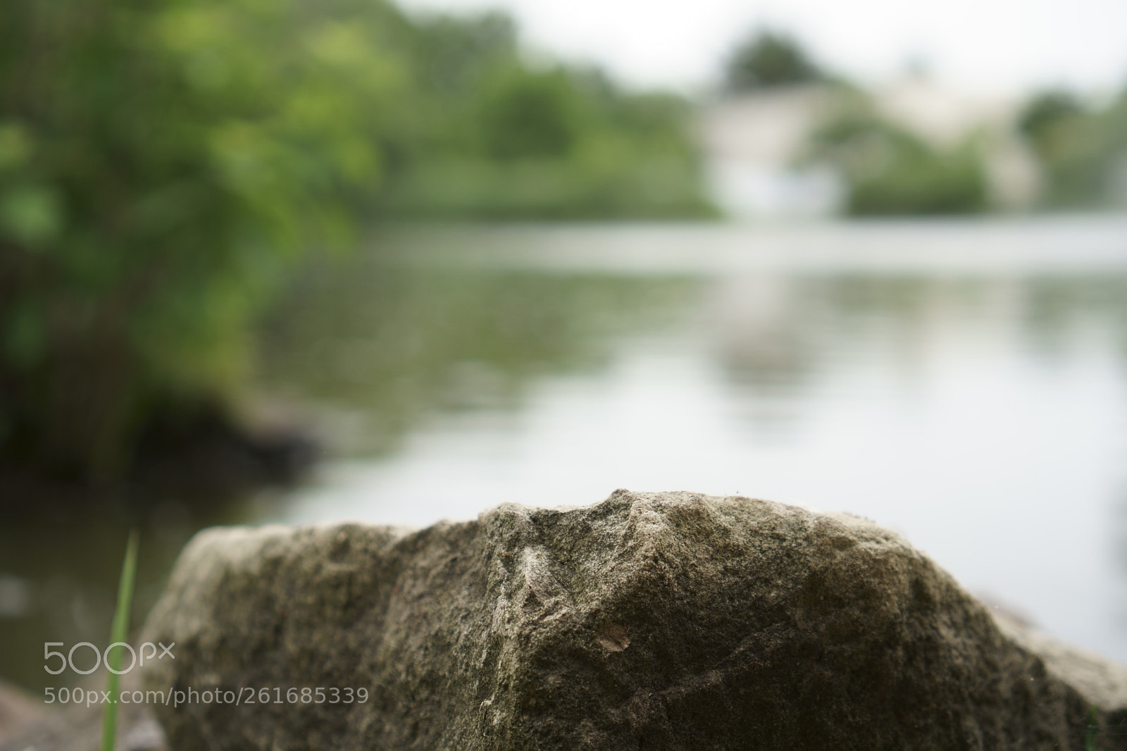 Sony a6500 + Sony E 35mm F1.8 OSS sample photo. Park photography