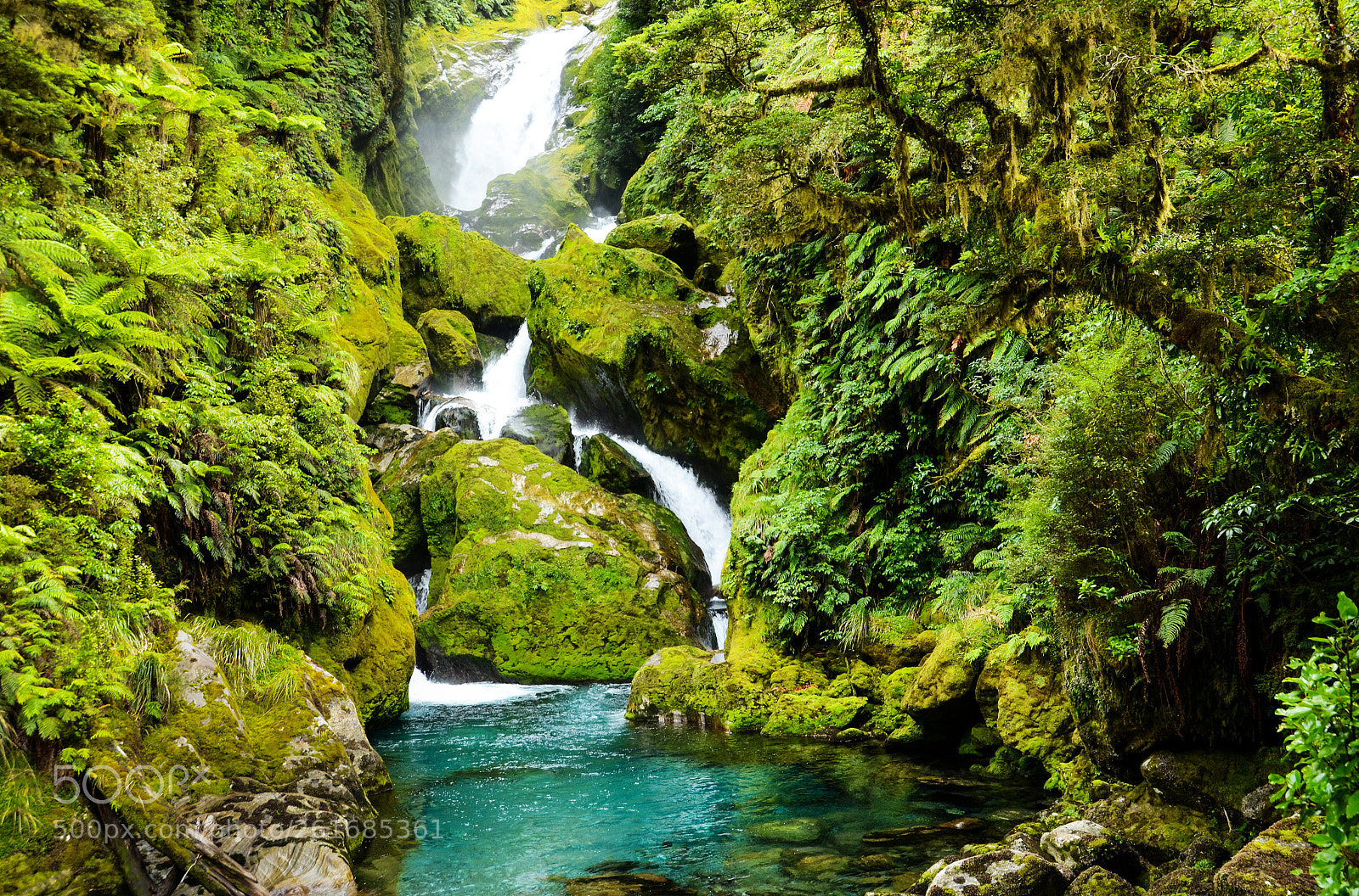 Nikon D7000 sample photo. Milford track, nz photography