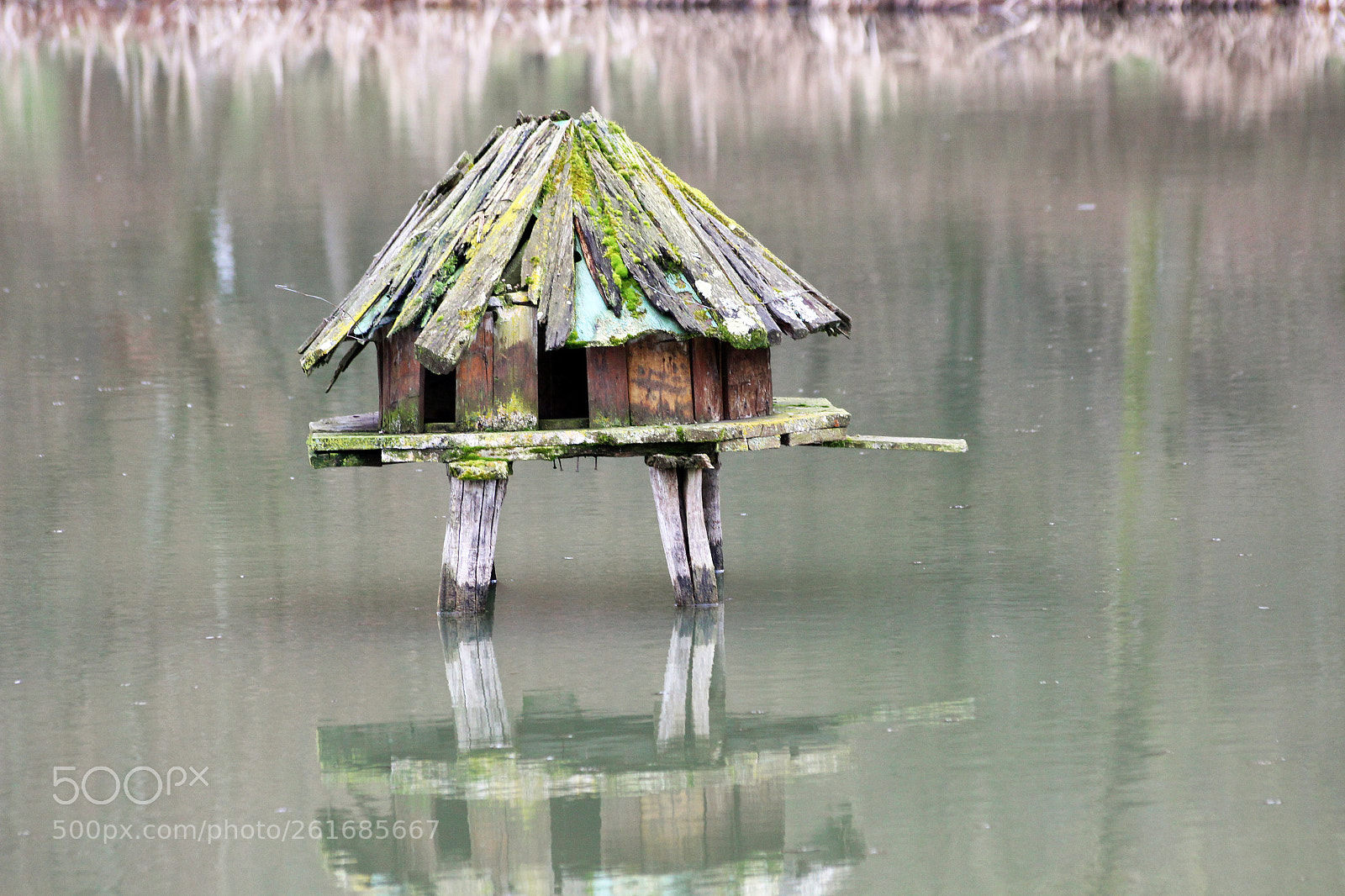 Canon EOS 600D (Rebel EOS T3i / EOS Kiss X5) sample photo. Dove house photography
