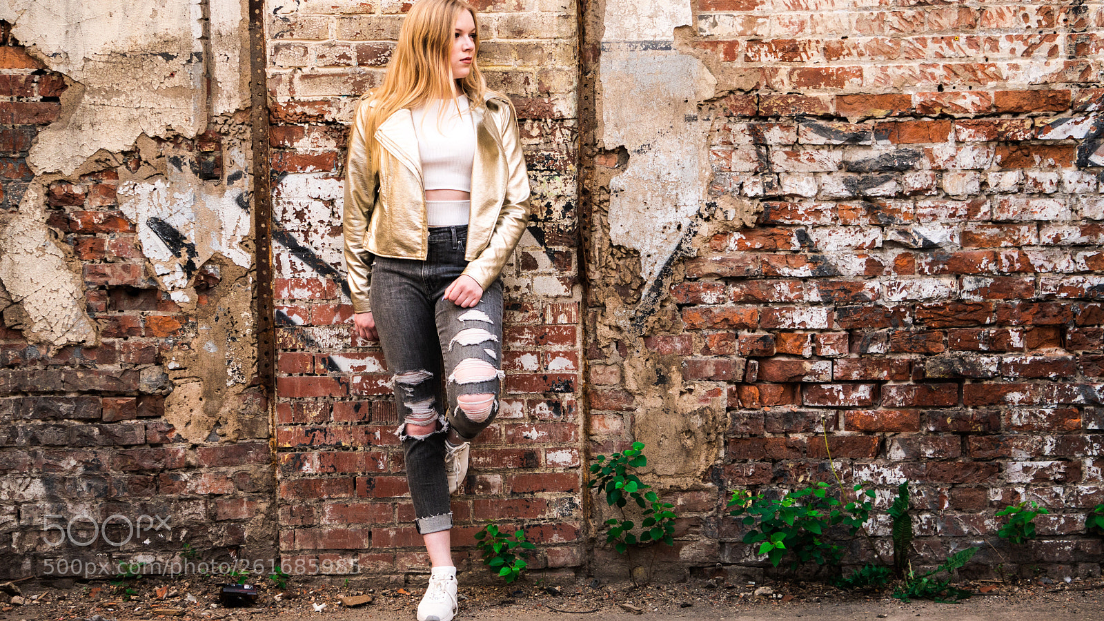 Sony a6300 sample photo. Brick wall photography