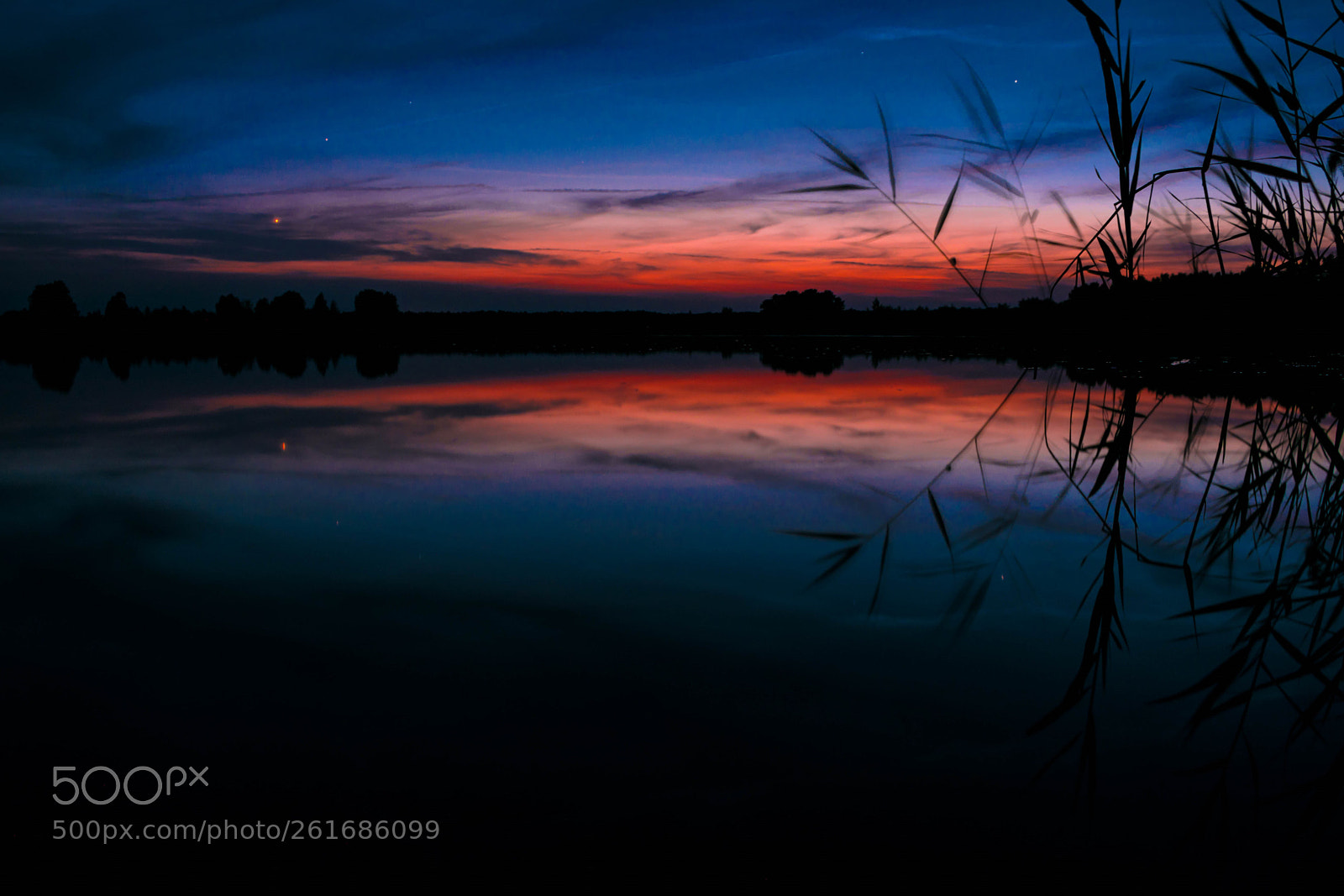 Nikon D5300 sample photo. Late night lake photography