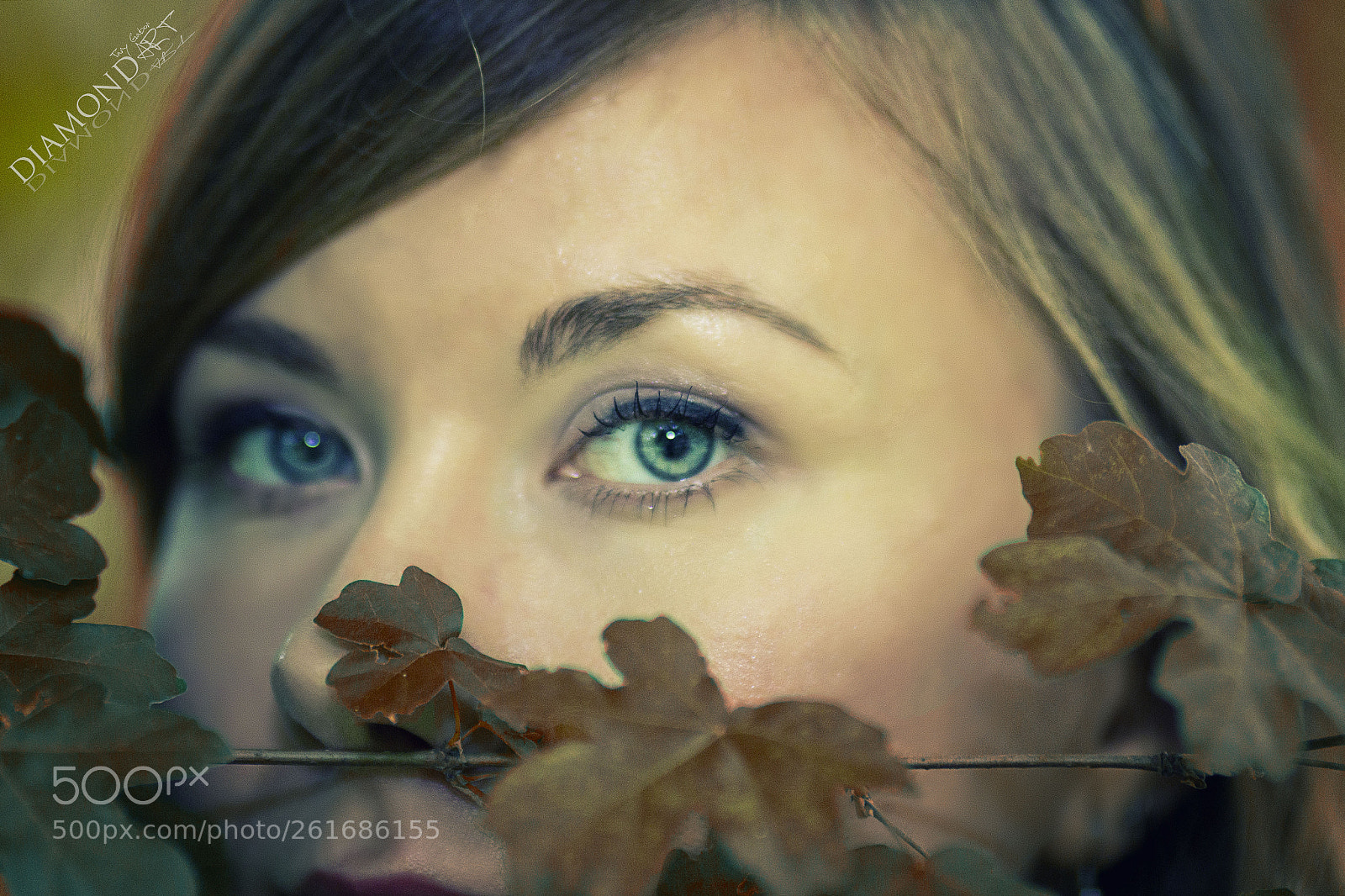 Canon EOS 60D sample photo. Eye is the mirror photography