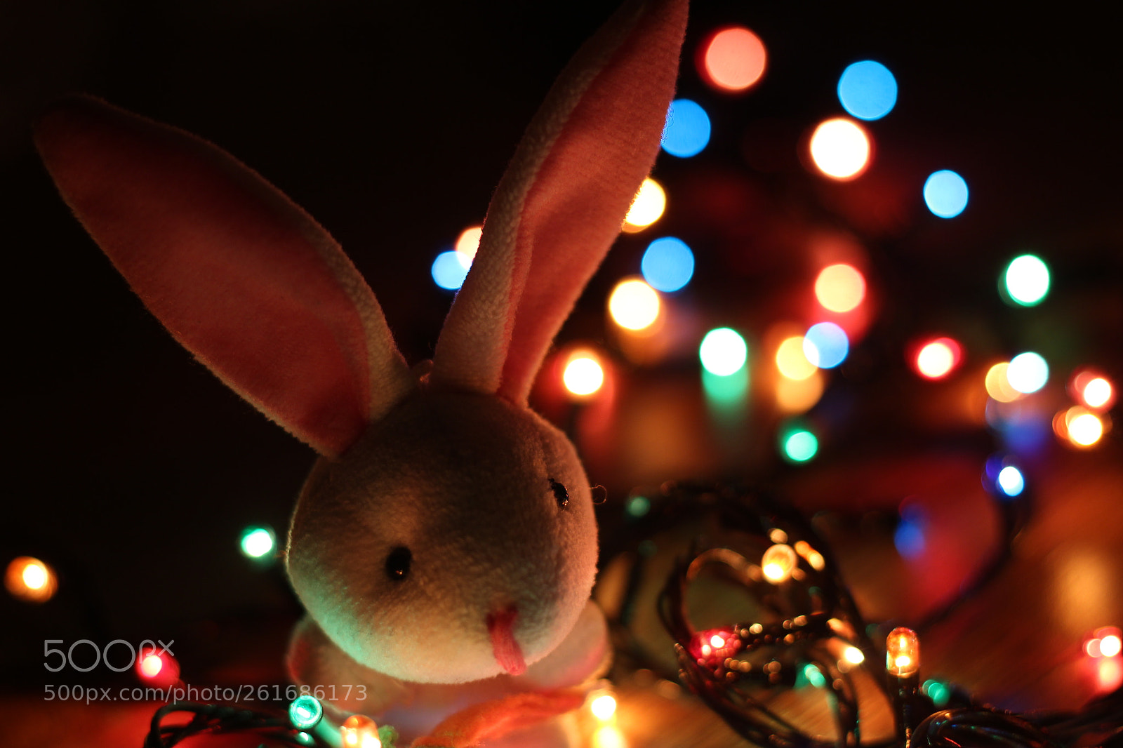 Canon EOS 700D (EOS Rebel T5i / EOS Kiss X7i) sample photo. Untitled photography