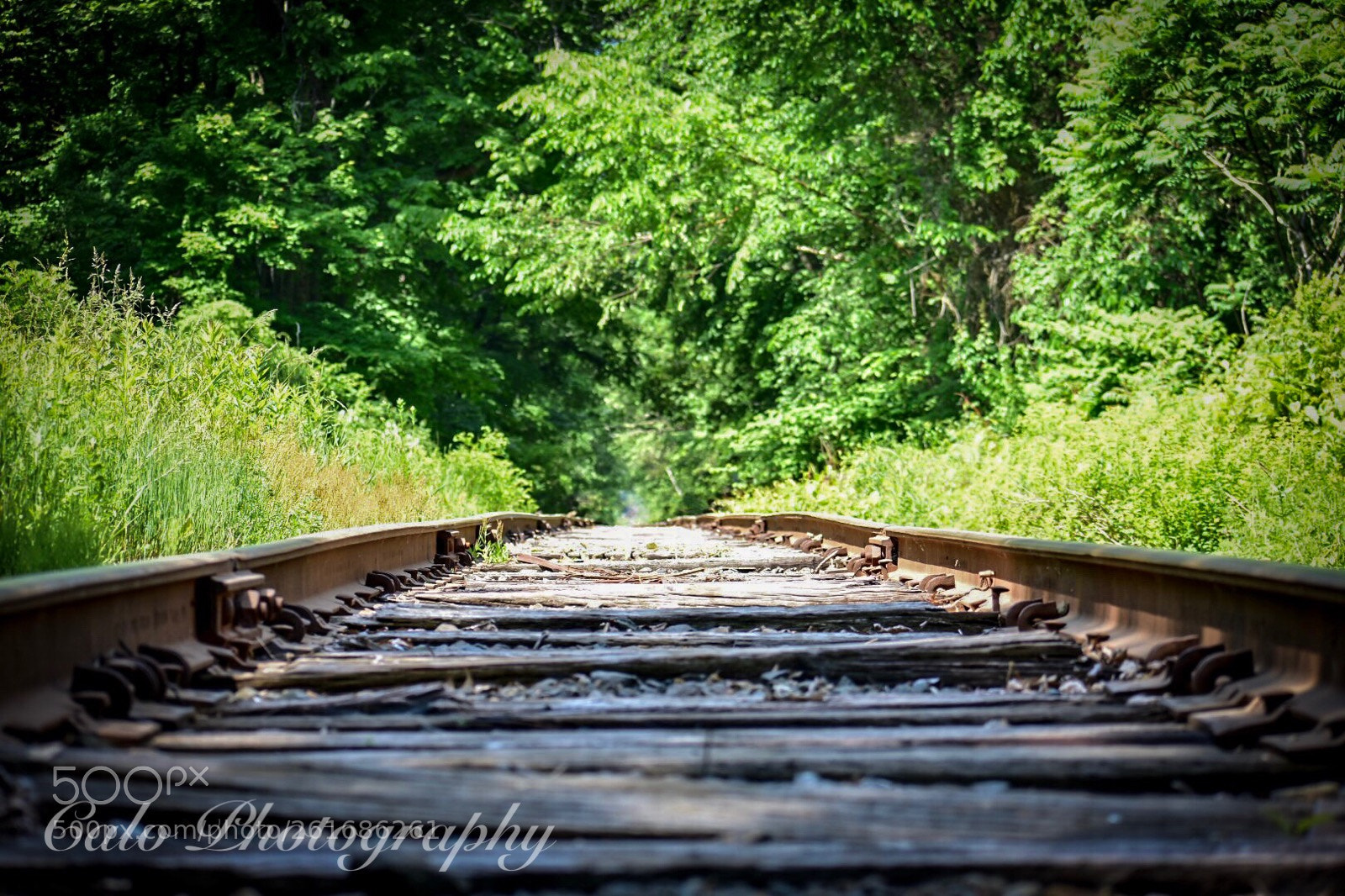Nikon D3400 sample photo. Lonely traintracks  photography