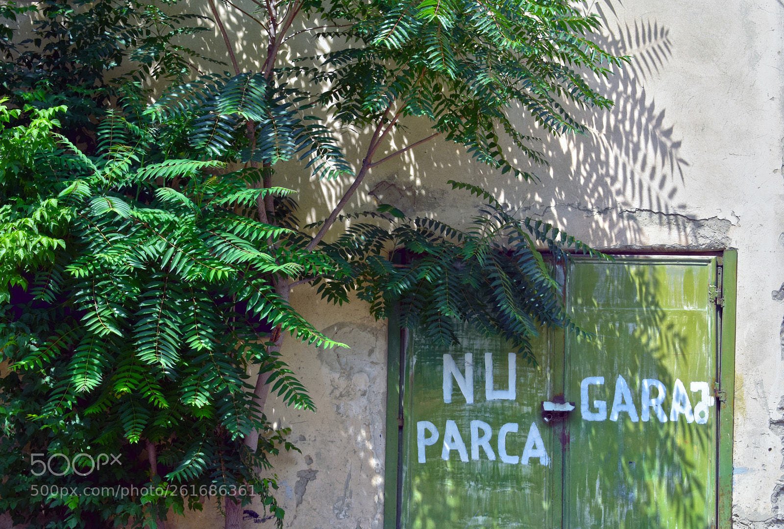 Nikon D3400 sample photo. No parking photography