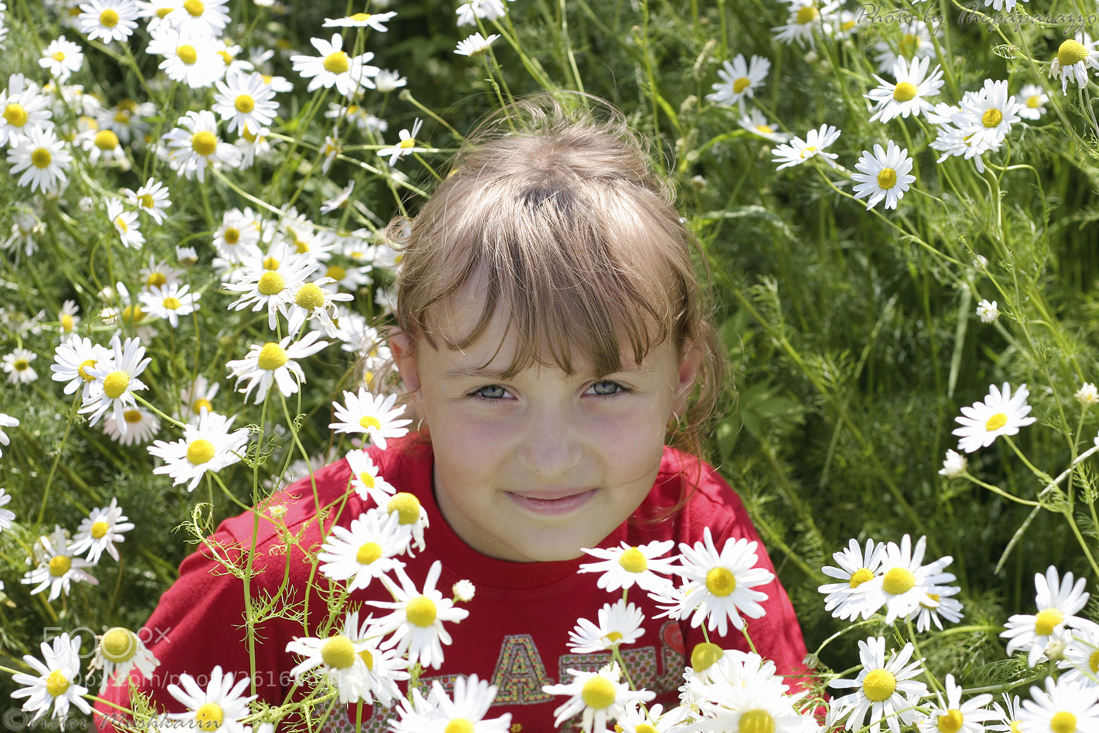 Canon EOS 20D sample photo. Girl in chammomiles (5836) photography