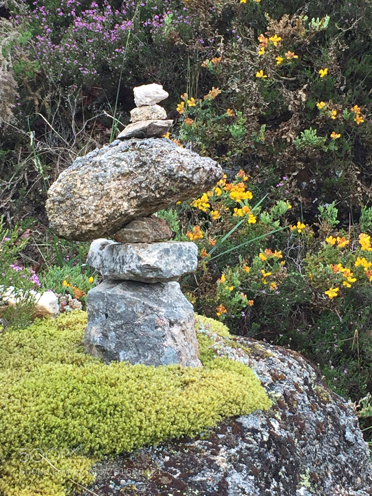 Apple iPhone 6 Plus sample photo. Between gaviera and sao photography