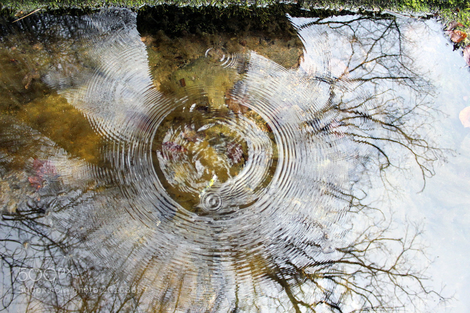 Canon EOS 600D (Rebel EOS T3i / EOS Kiss X5) sample photo. Pond photography