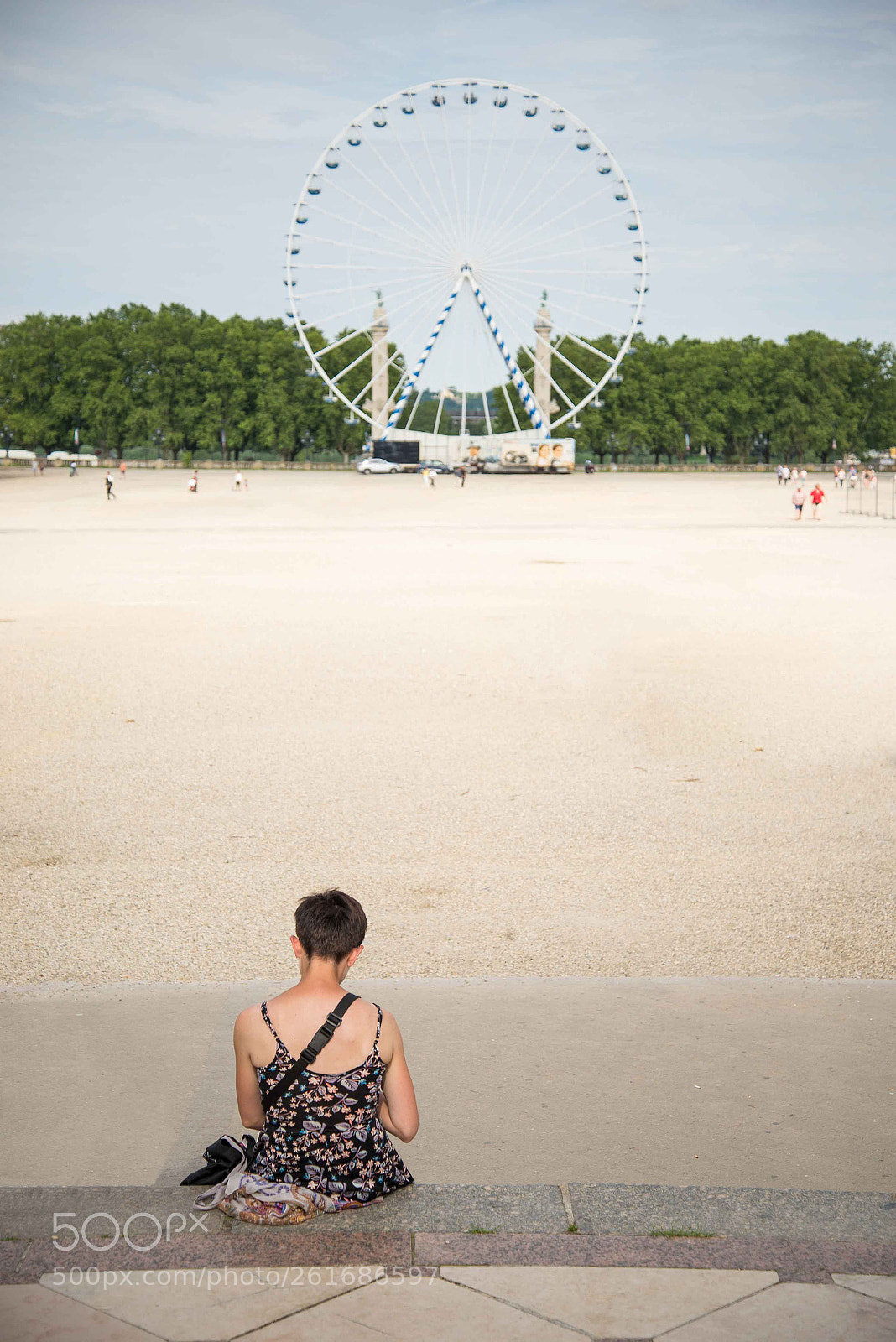 Nikon D610 sample photo. The big wheel and photography