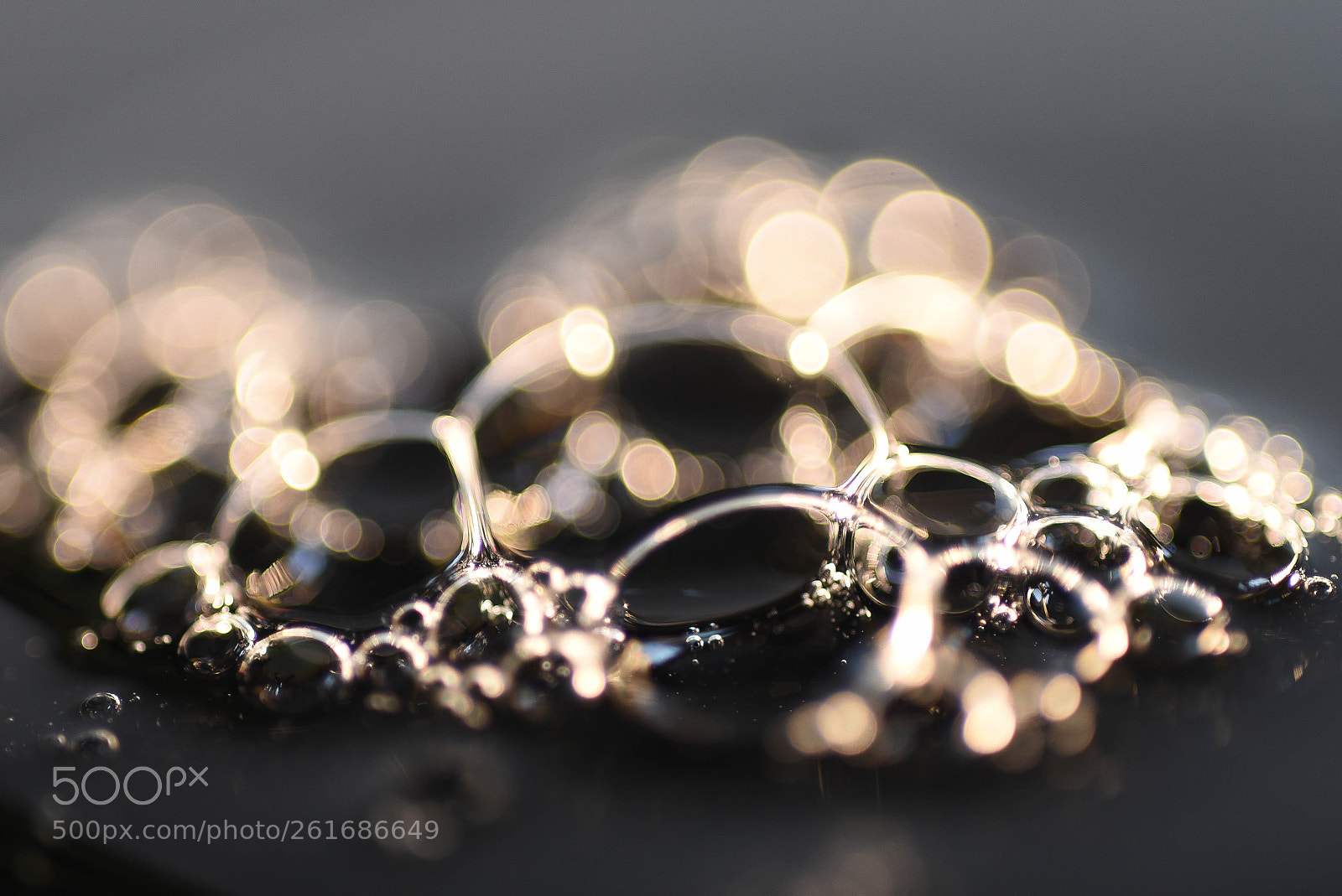 Nikon D750 sample photo. Bring to a boil photography