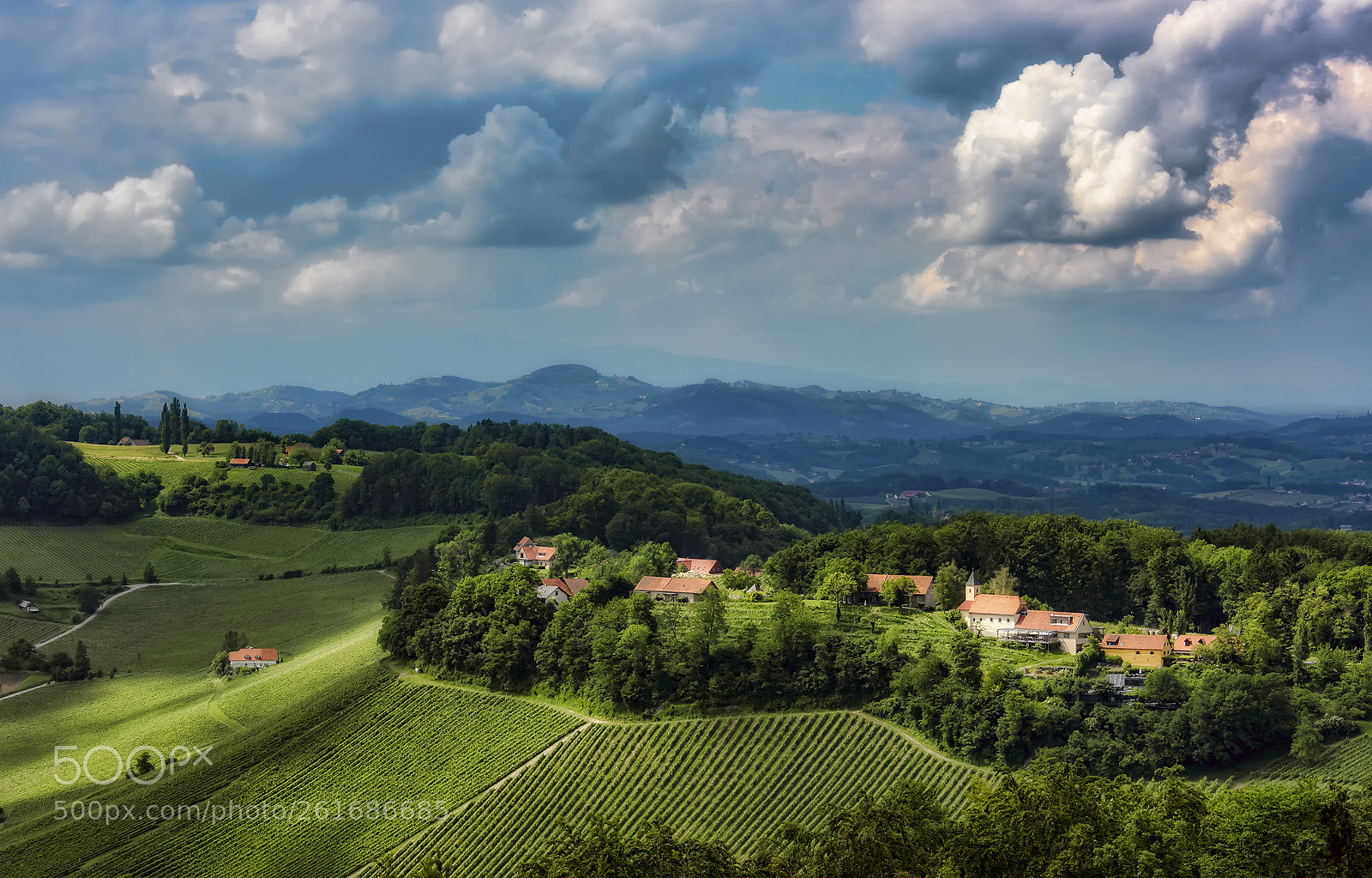 Nikon D810 sample photo. South styrian wine route (2) photography