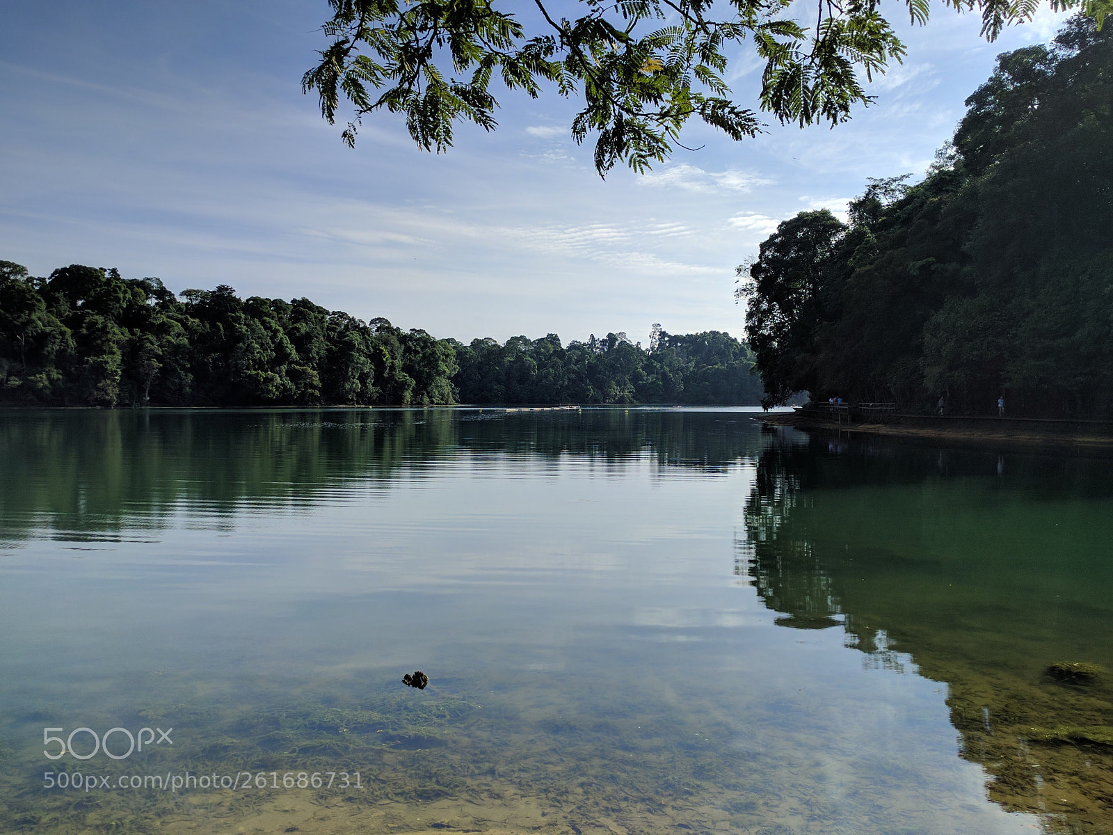 Google Nexus 6P sample photo. Calm in nature photography