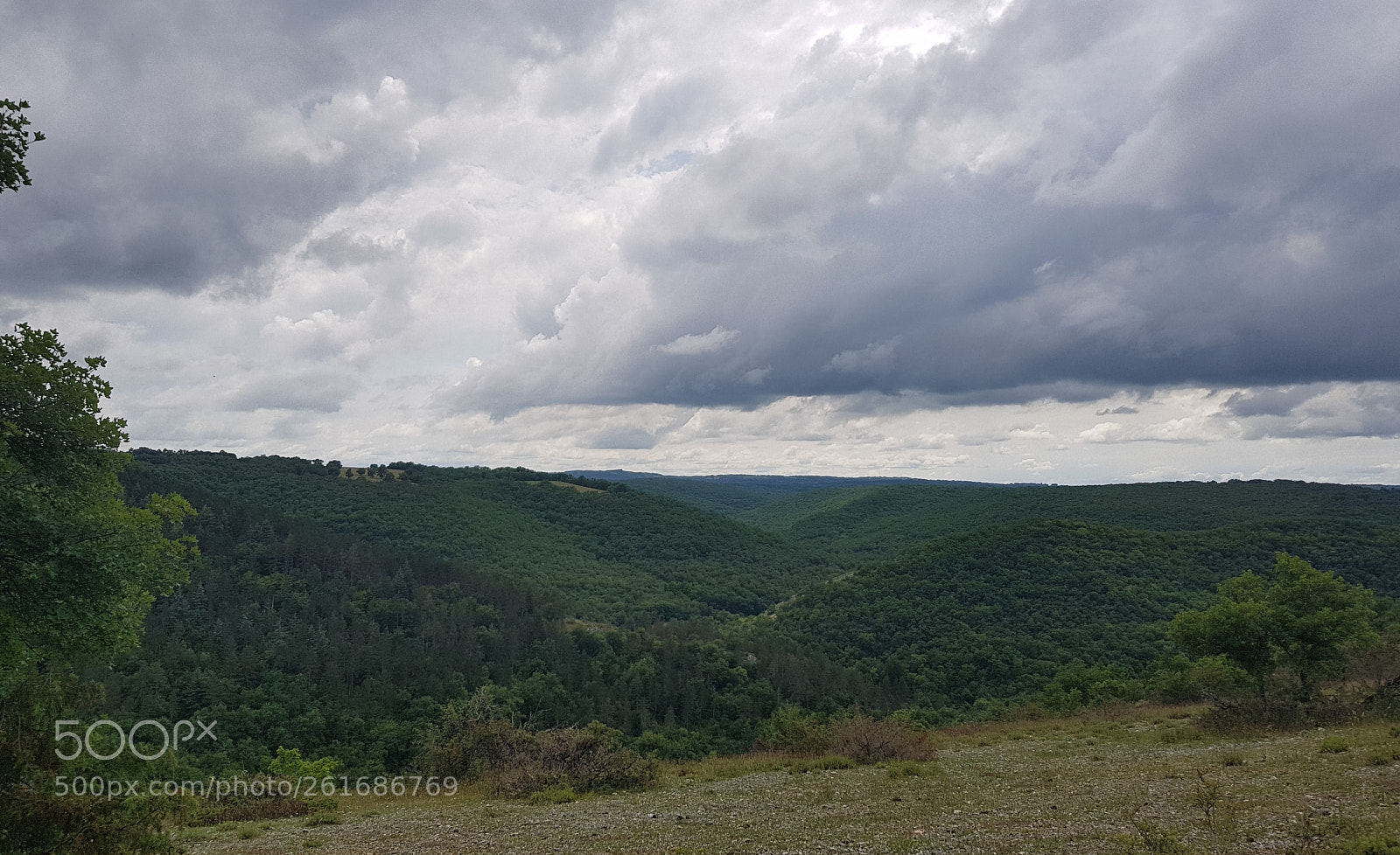 Samsung Galaxy S8 sample photo. Untitled photography