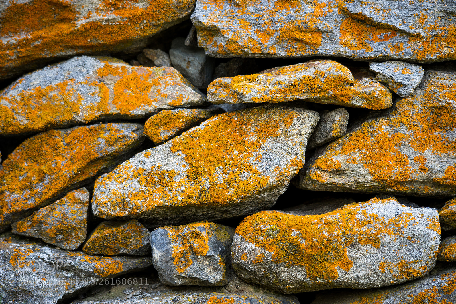 Nikon D3S sample photo. Colori naturali photography