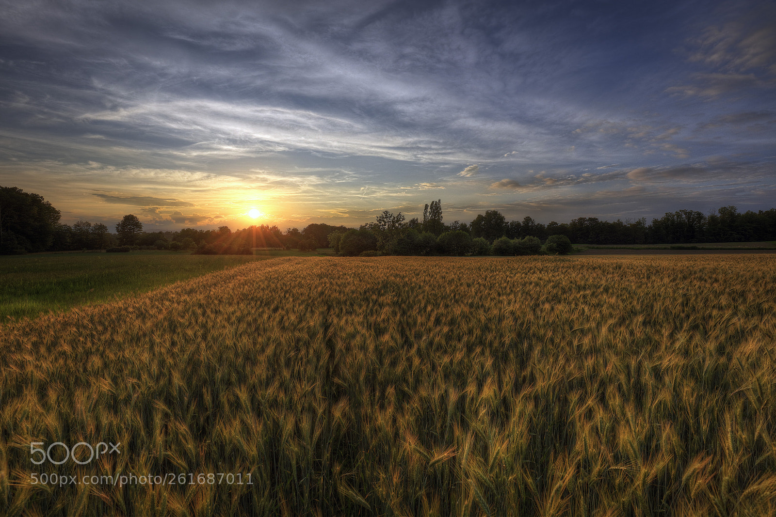 Canon EOS 5DS R sample photo. The conturbia countryside photography