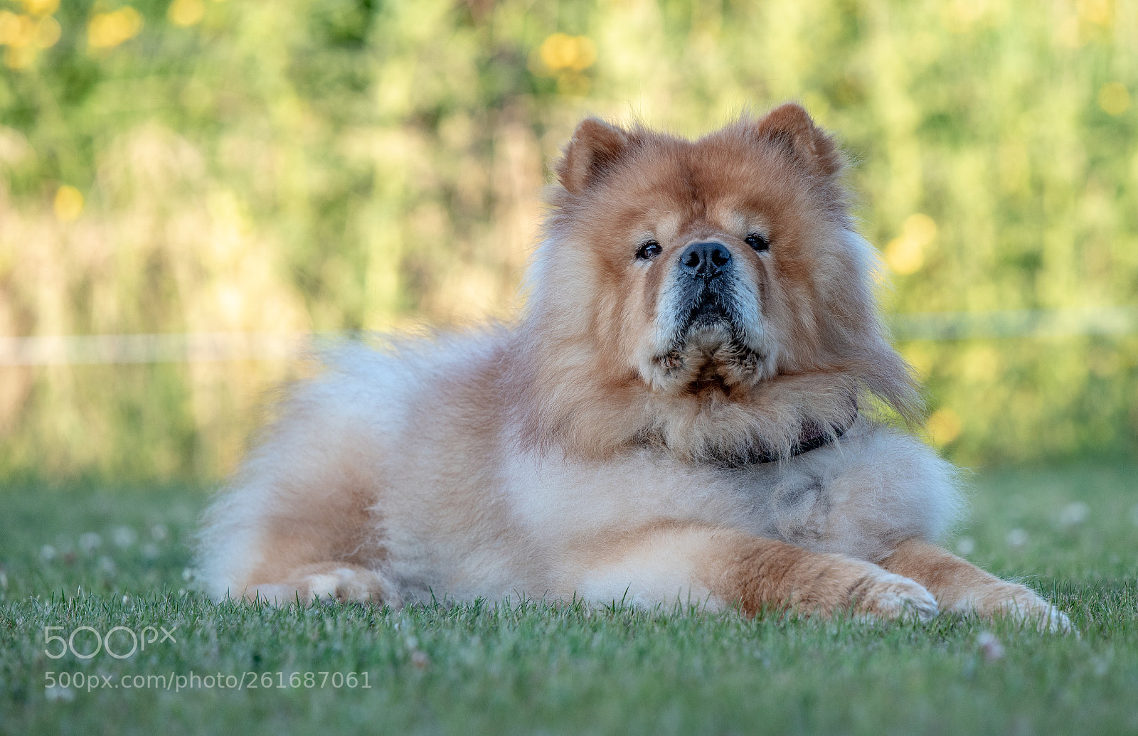 Nikon D750 sample photo. Noah photography