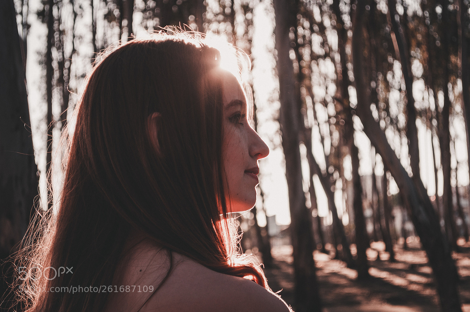Nikon D5000 sample photo. Golden girl photography
