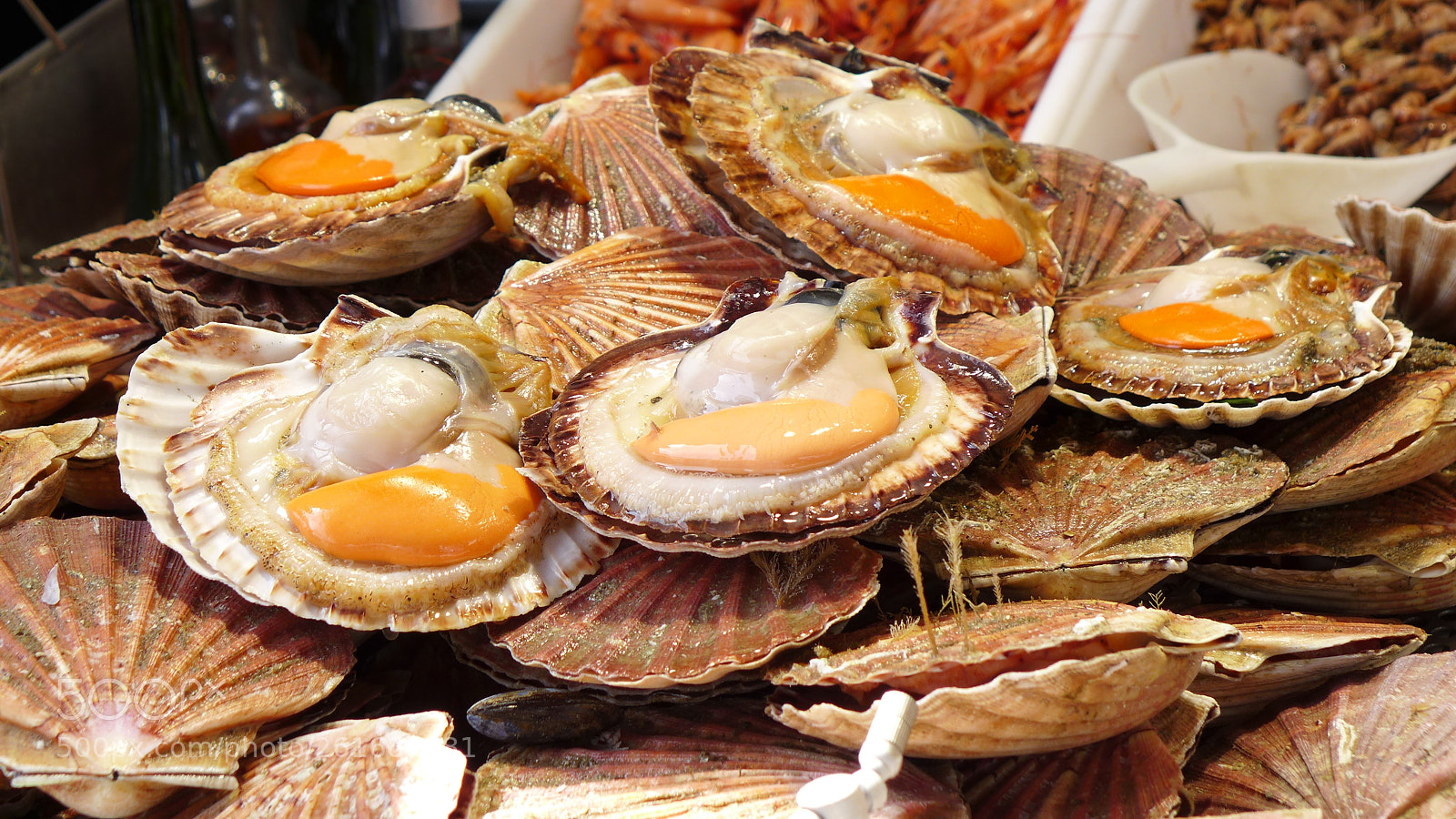 Leica D-Lux 6 sample photo. Local market, local seafood photography