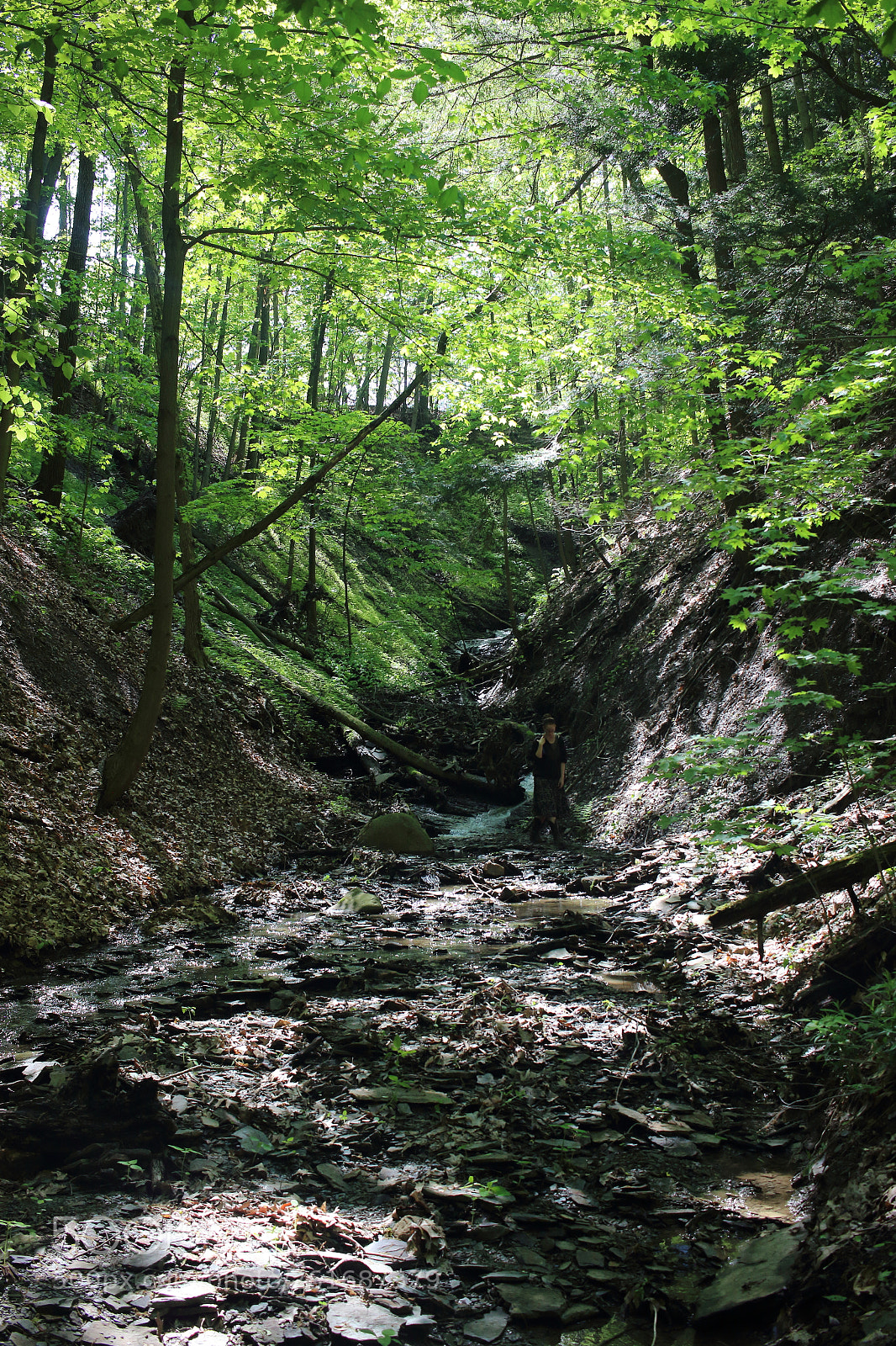 Canon EF-S 24mm F2.8 STM sample photo. Vlyflg photography