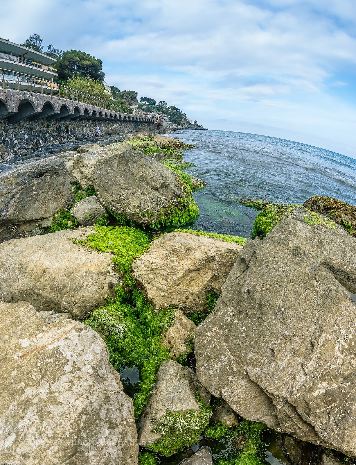 Nikon D7200 sample photo. Green photography