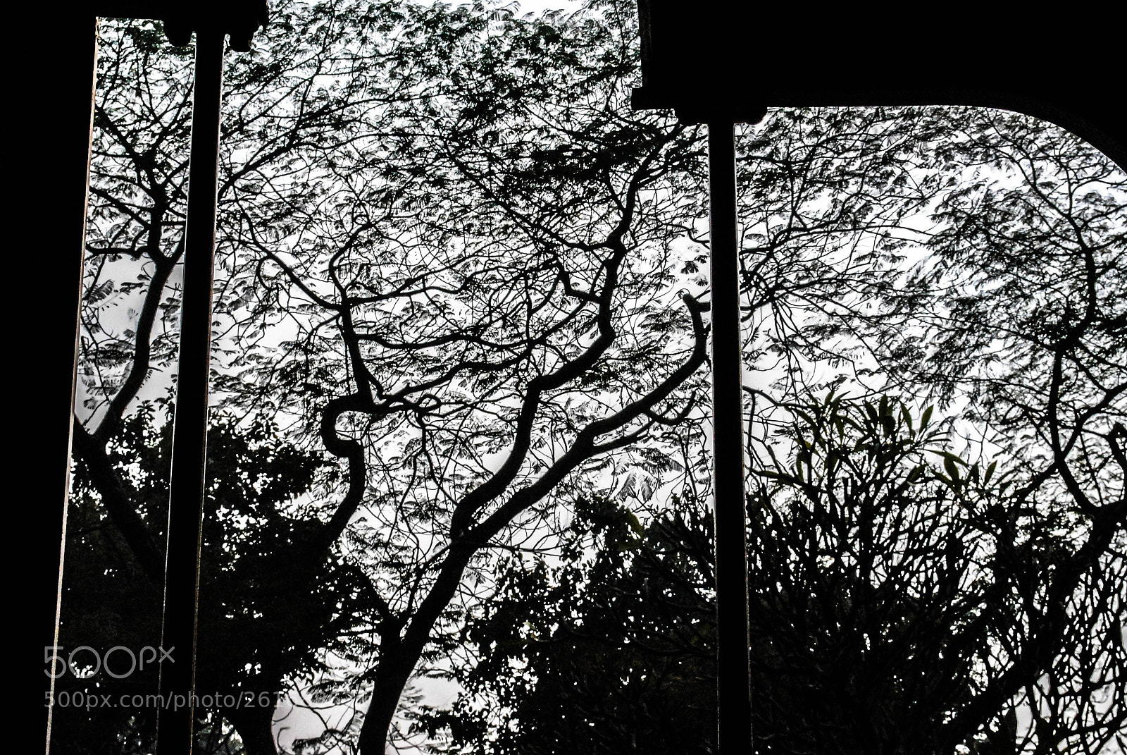 Nikon D3000 sample photo. C photography