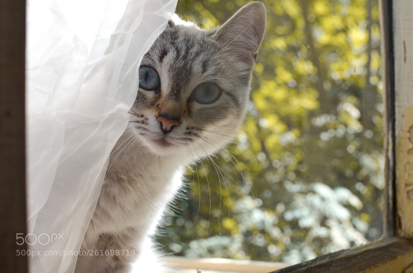 Nikon D5100 sample photo. Oh! hi^^ photography