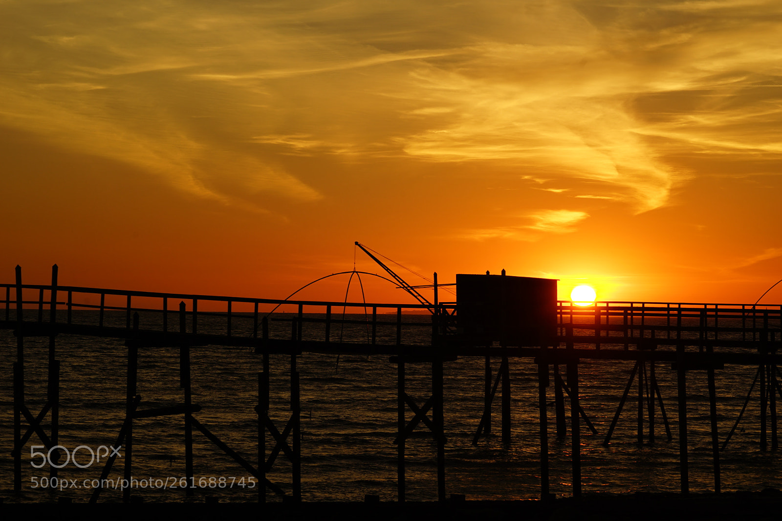Sony a7 II sample photo. Dsc photography