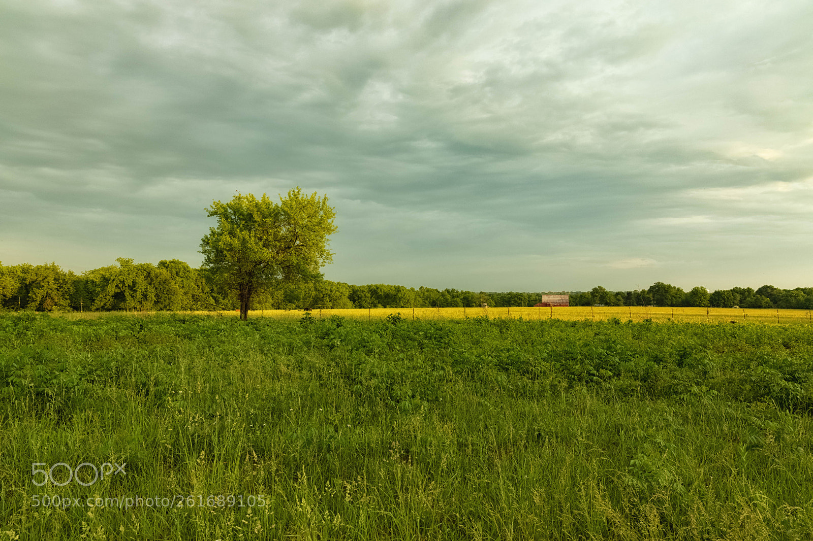 Canon EOS 5D Mark IV sample photo. Lightened photography