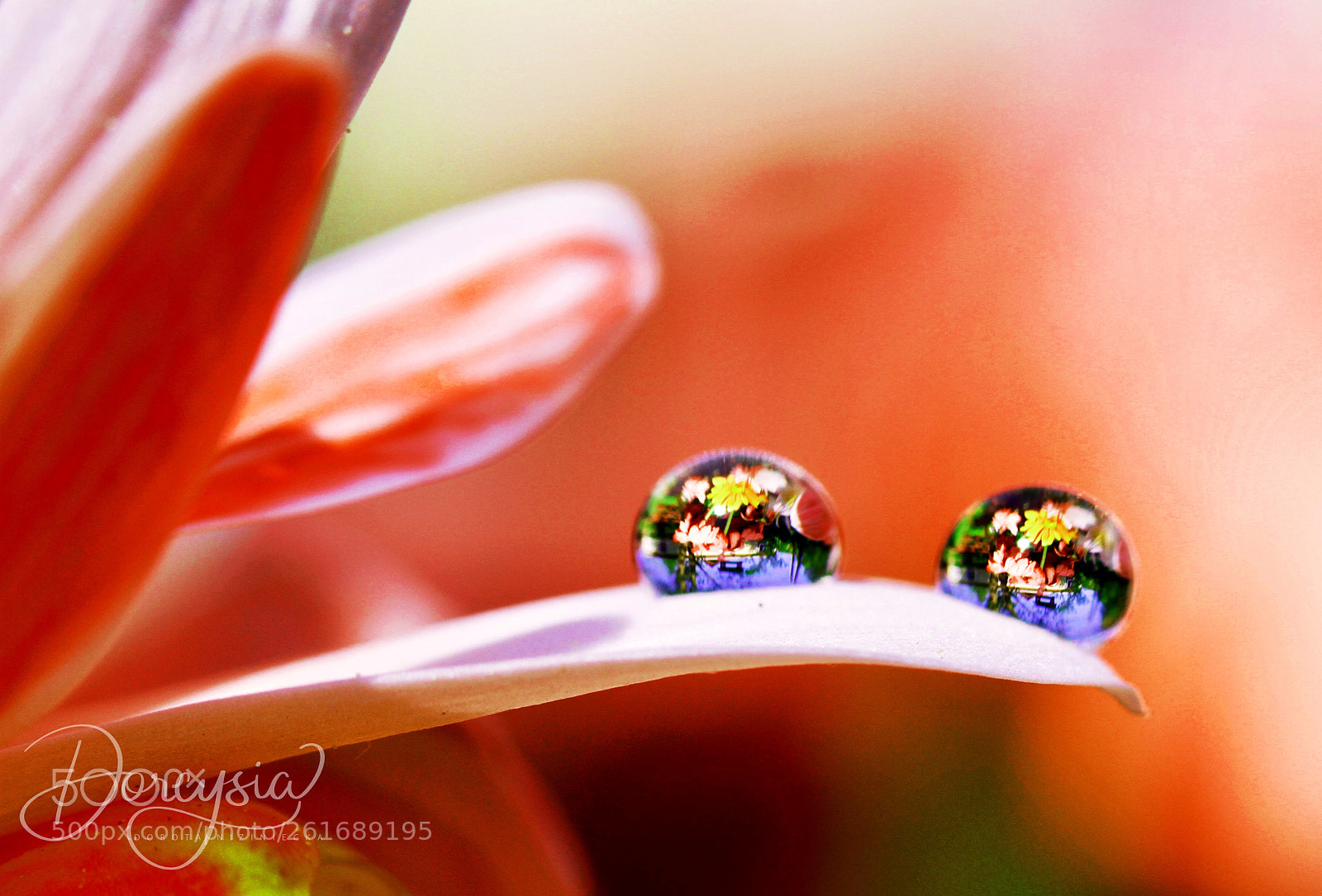 Canon EOS 7D sample photo. Mind blow photography