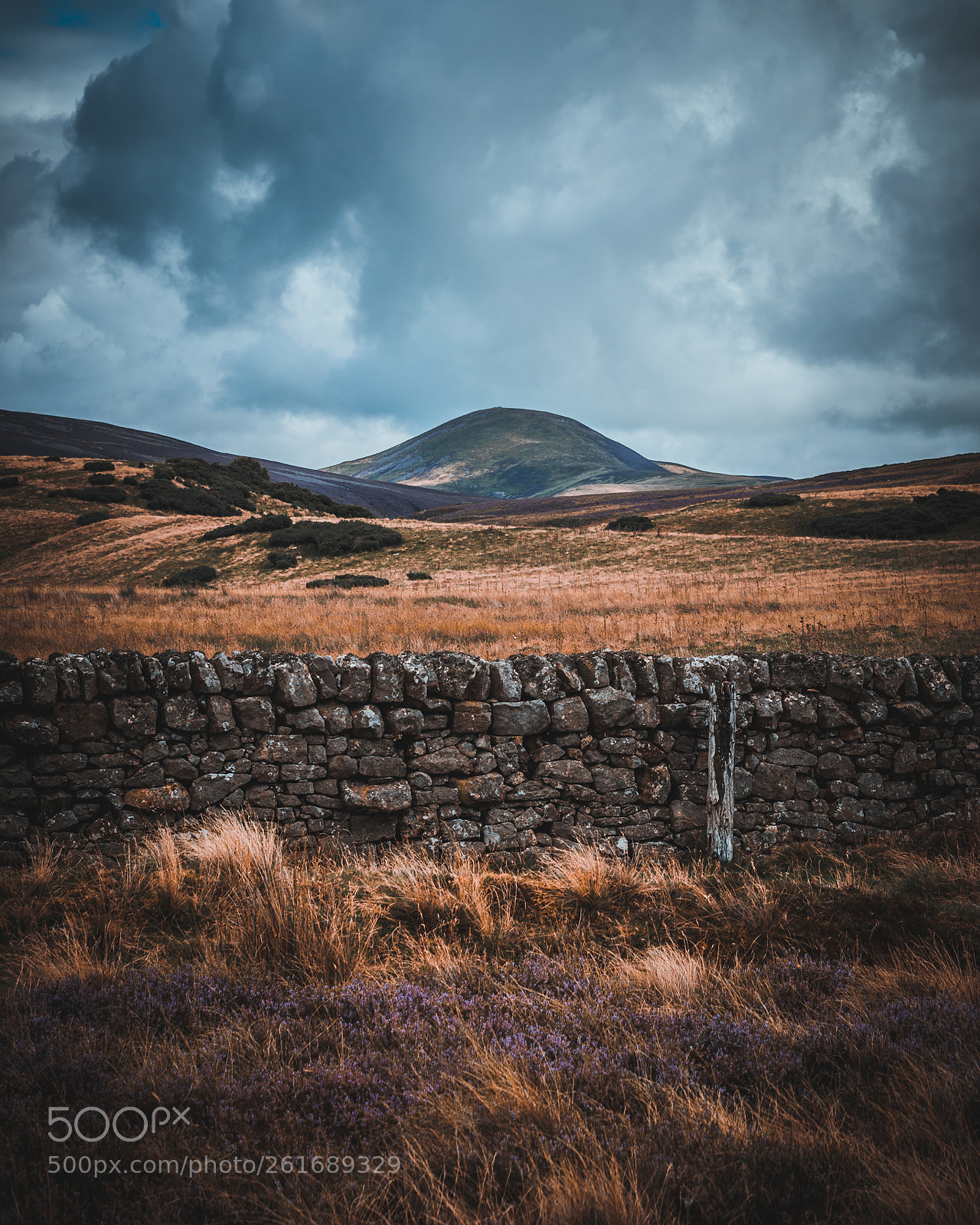 Nikon D3200 sample photo. Pentland hills photography