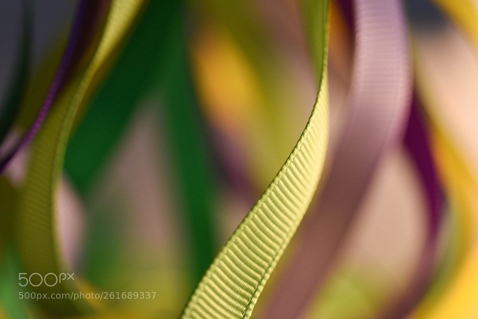 Nikon D750 sample photo. Dancing ribbons photography