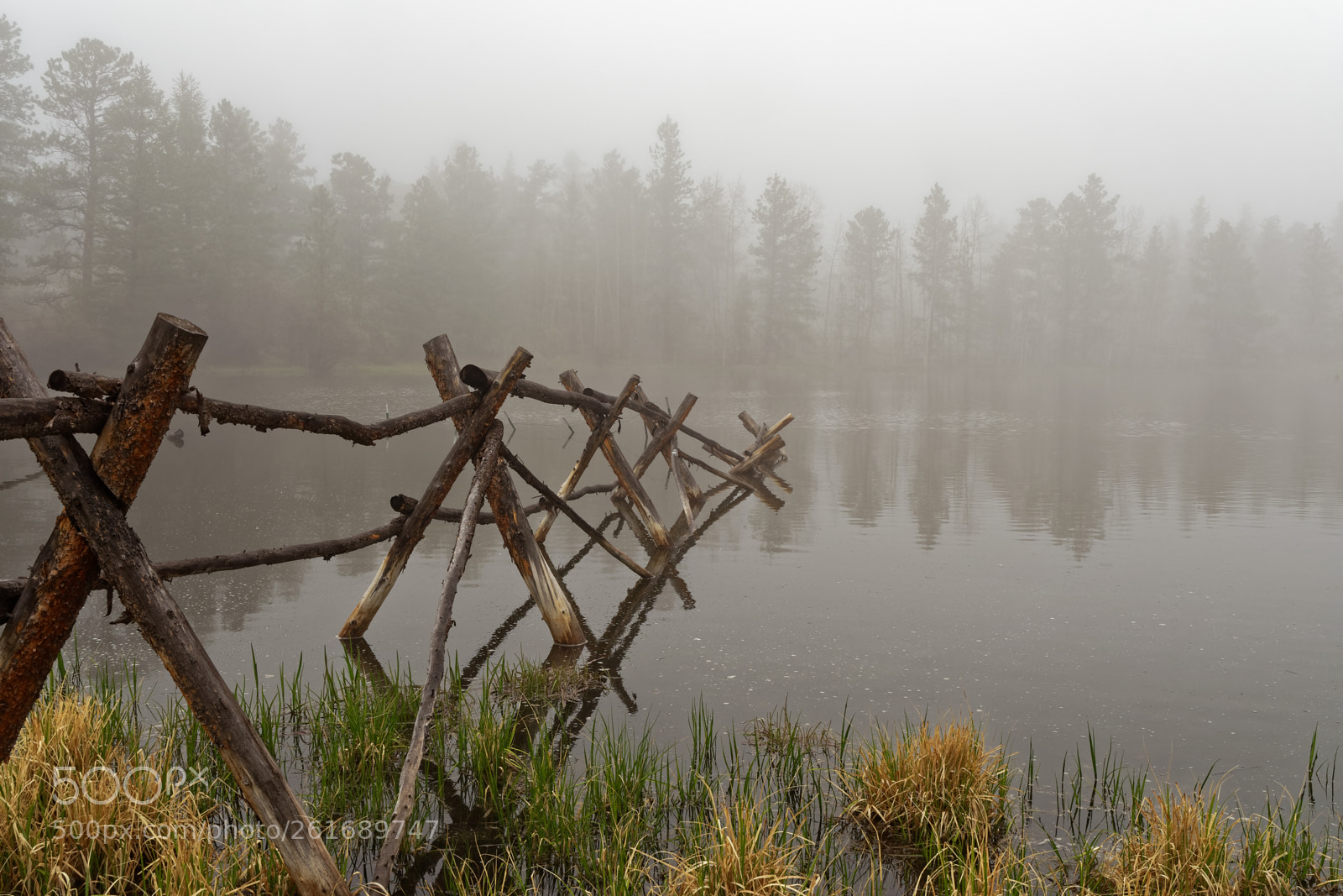Nikon D500 sample photo. Pond with rail fence photography