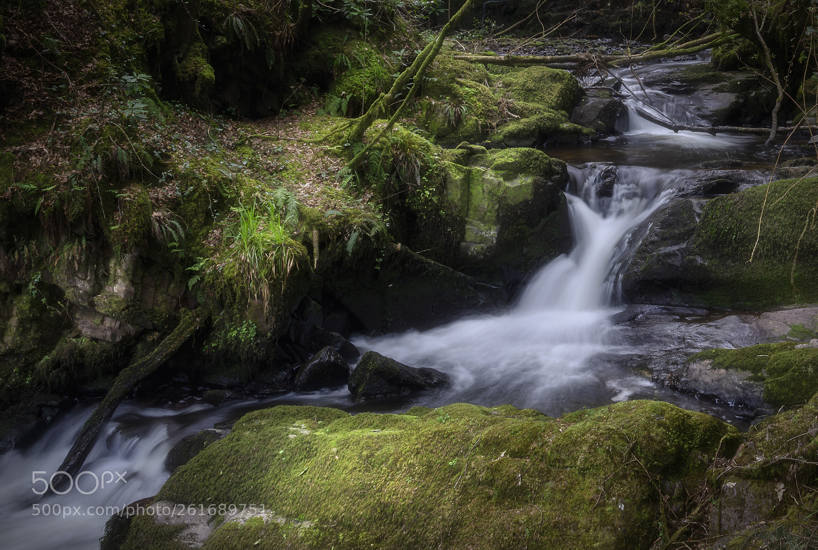 Nikon D610 sample photo. Macollop cascade photography