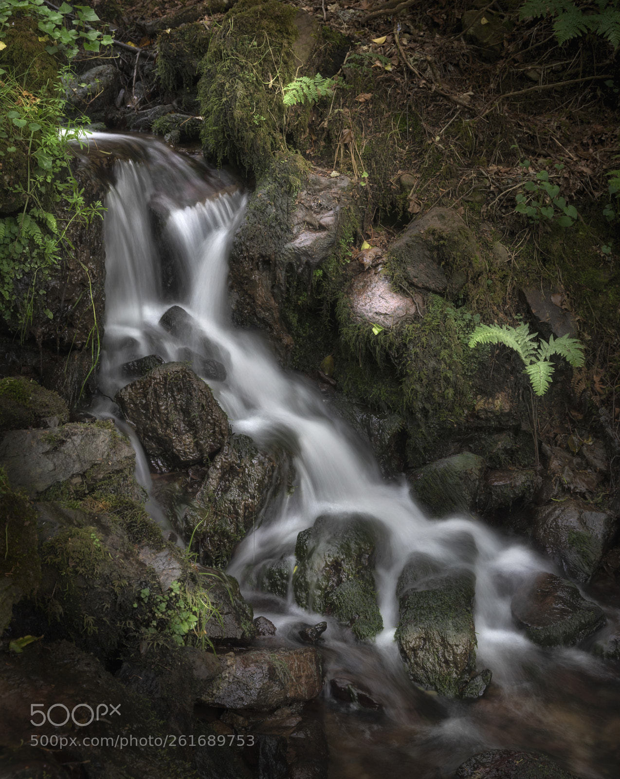 Nikon D750 sample photo. Glendine photography