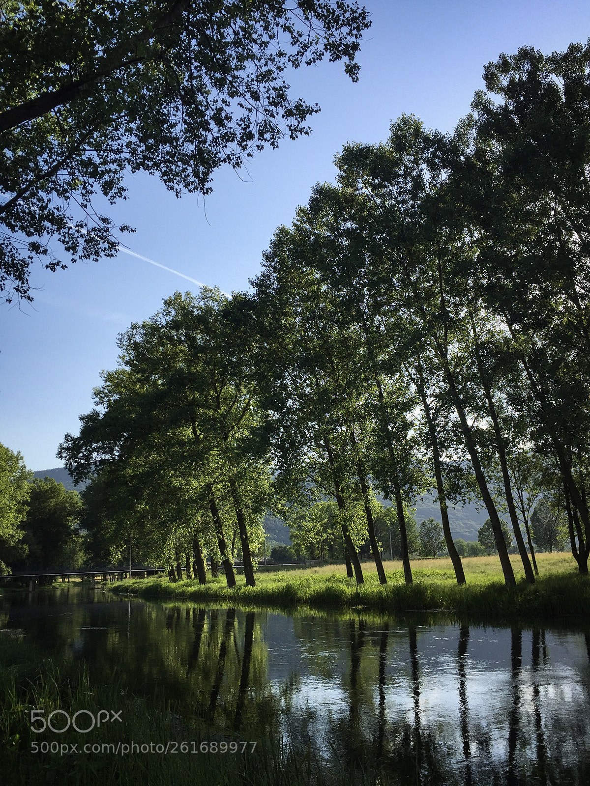 Apple iPhone 6 sample photo. Gacka fly fishing photography