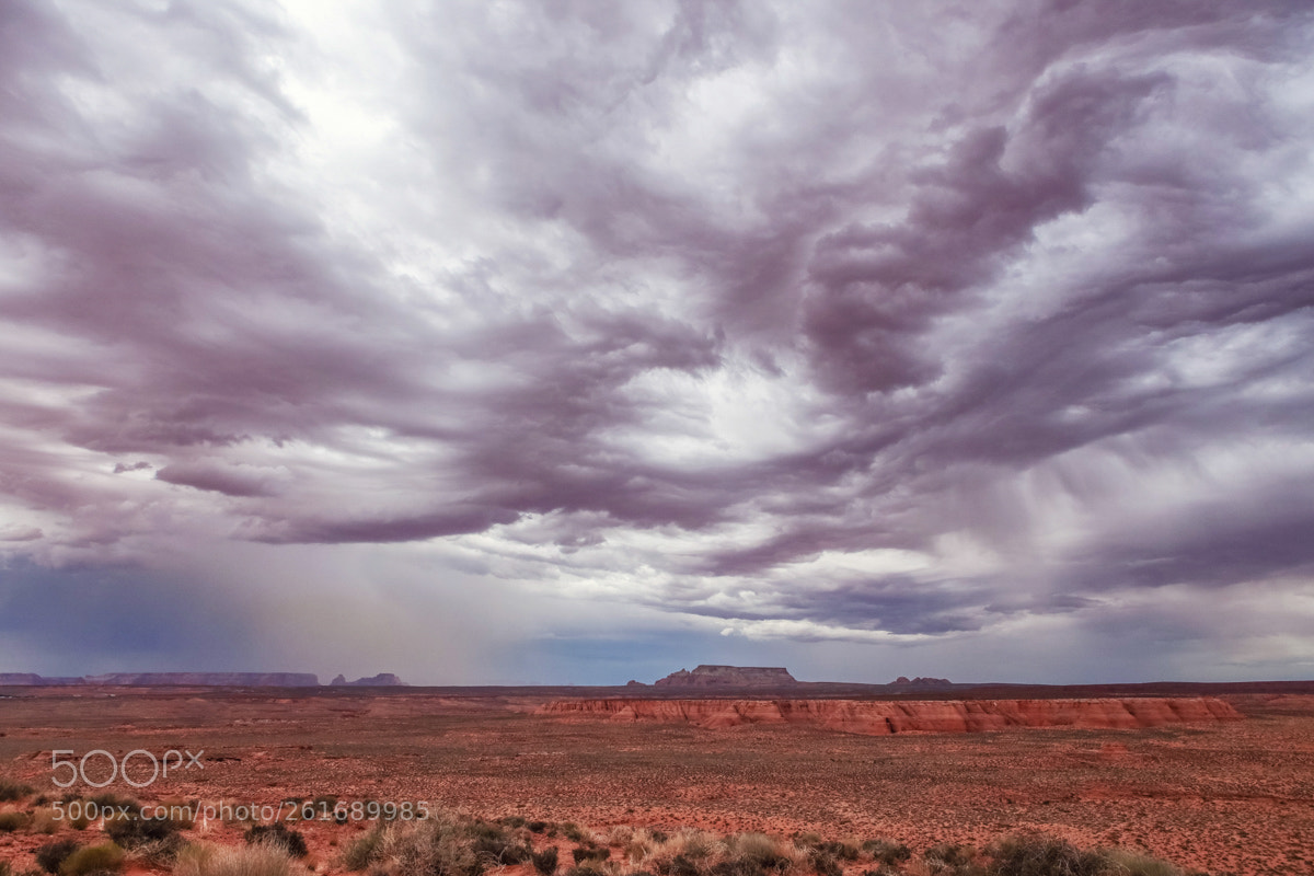 Canon EOS 6D sample photo. In the desert photography