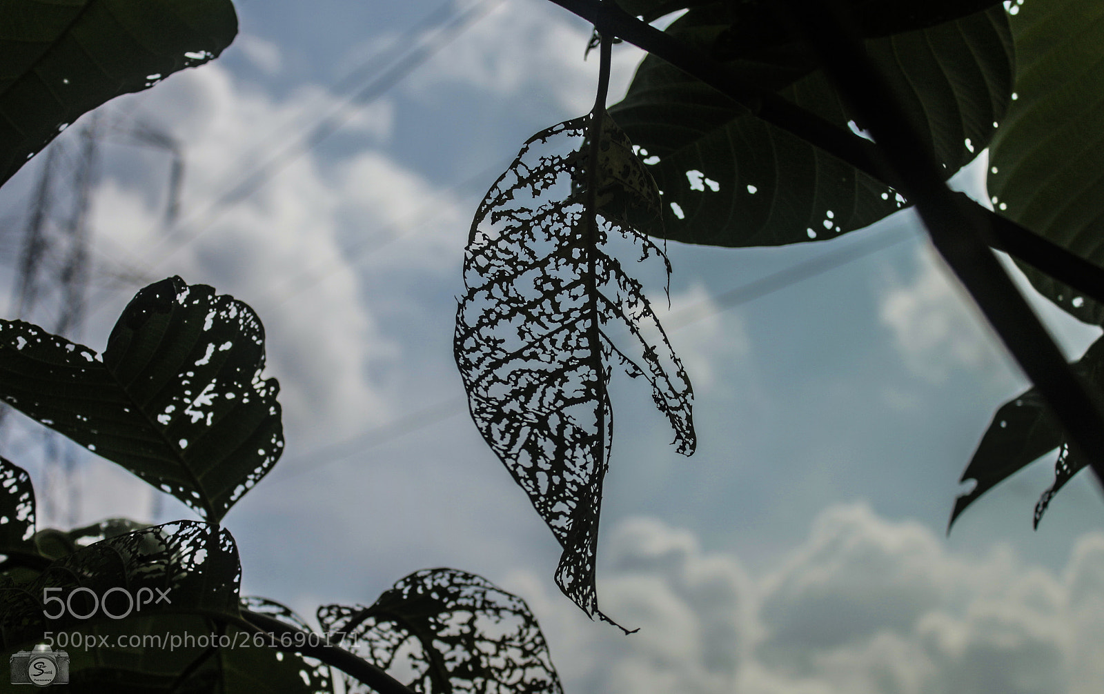 Canon EOS 700D (EOS Rebel T5i / EOS Kiss X7i) sample photo. The soul left the photography