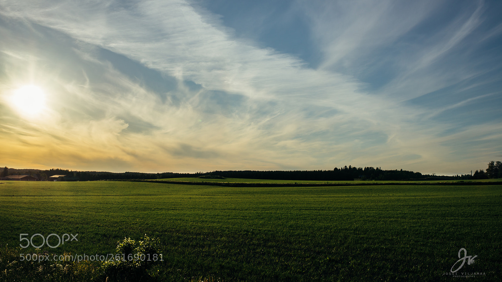 Nikon D600 sample photo. Endless field photography