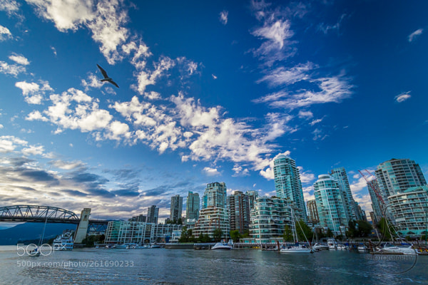 Canon EOS 7D sample photo. Vancouver flight photography