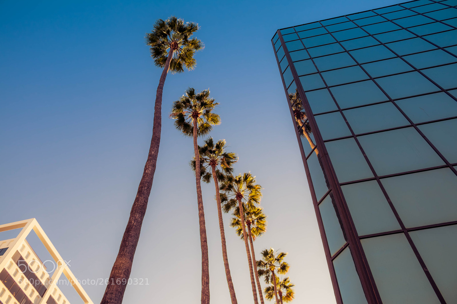 Canon EOS 80D sample photo. Hollywood photography