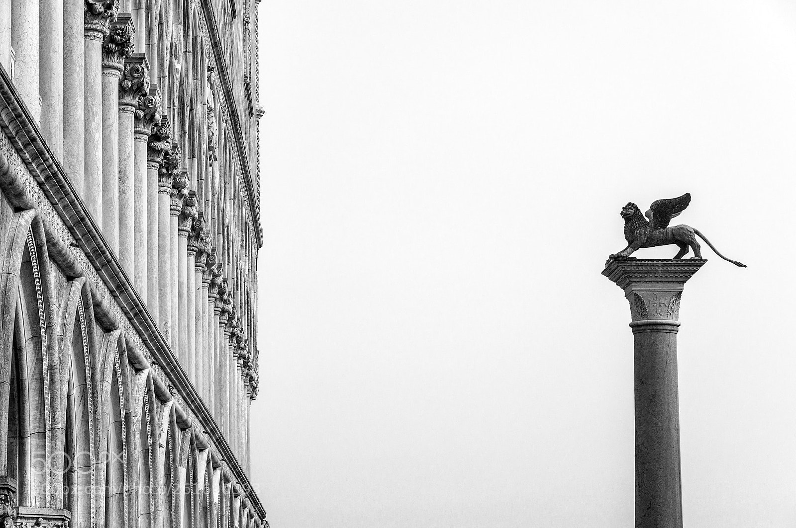 Nikon D90 sample photo. The lion of venice photography