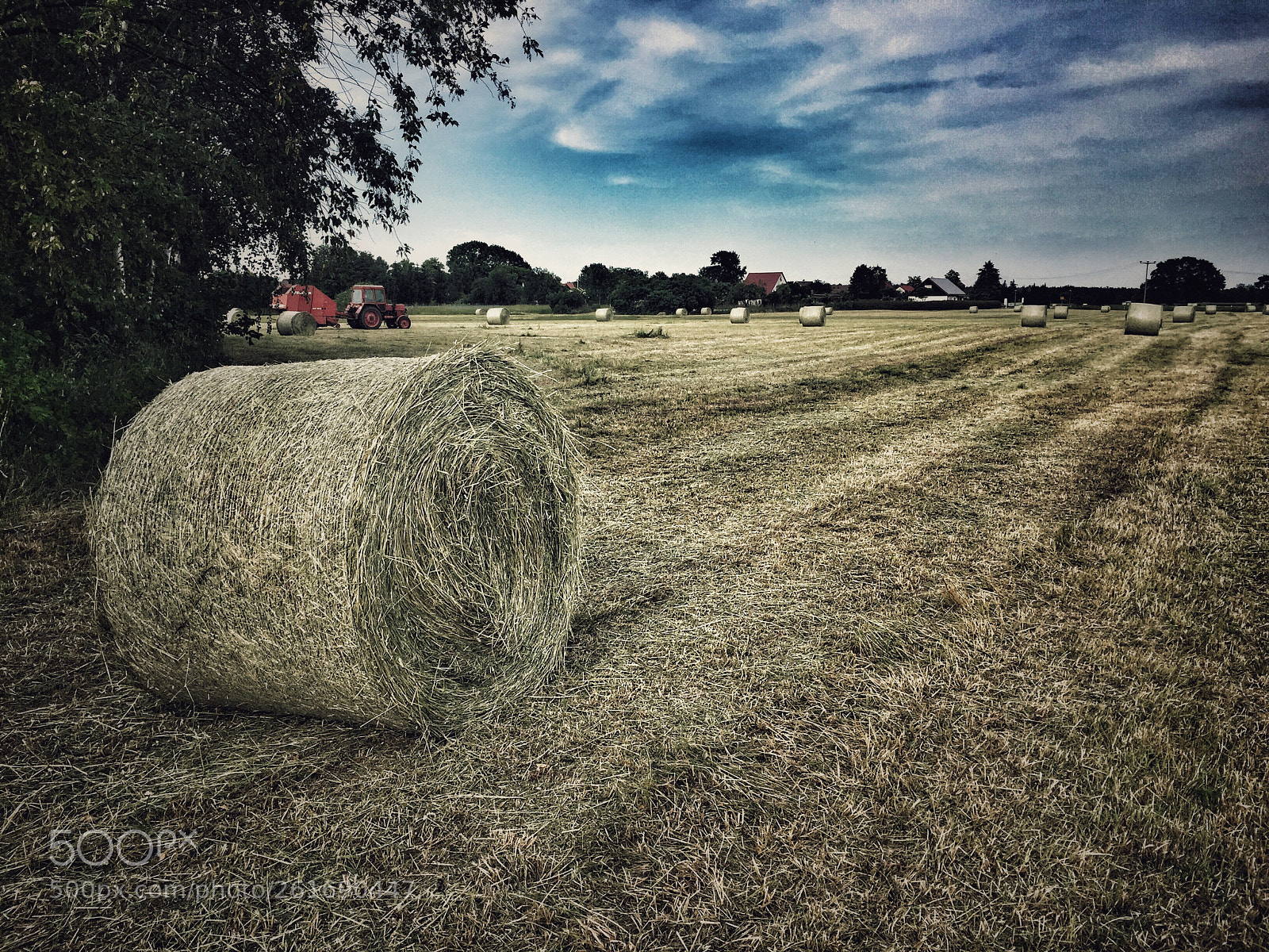 Apple iPhone 6 sample photo. Farming field photography