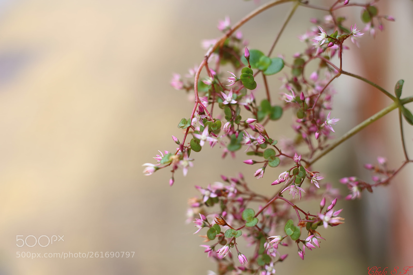 Canon EOS 6D sample photo. Untitled photography