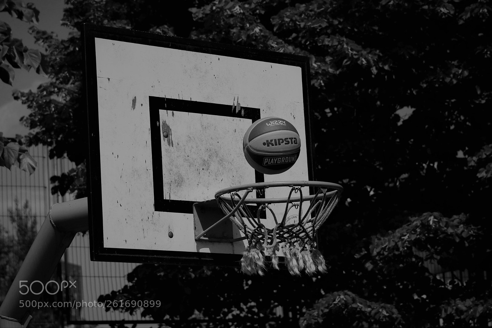 Canon EOS 750D (EOS Rebel T6i / EOS Kiss X8i) sample photo. Instante congelado photography