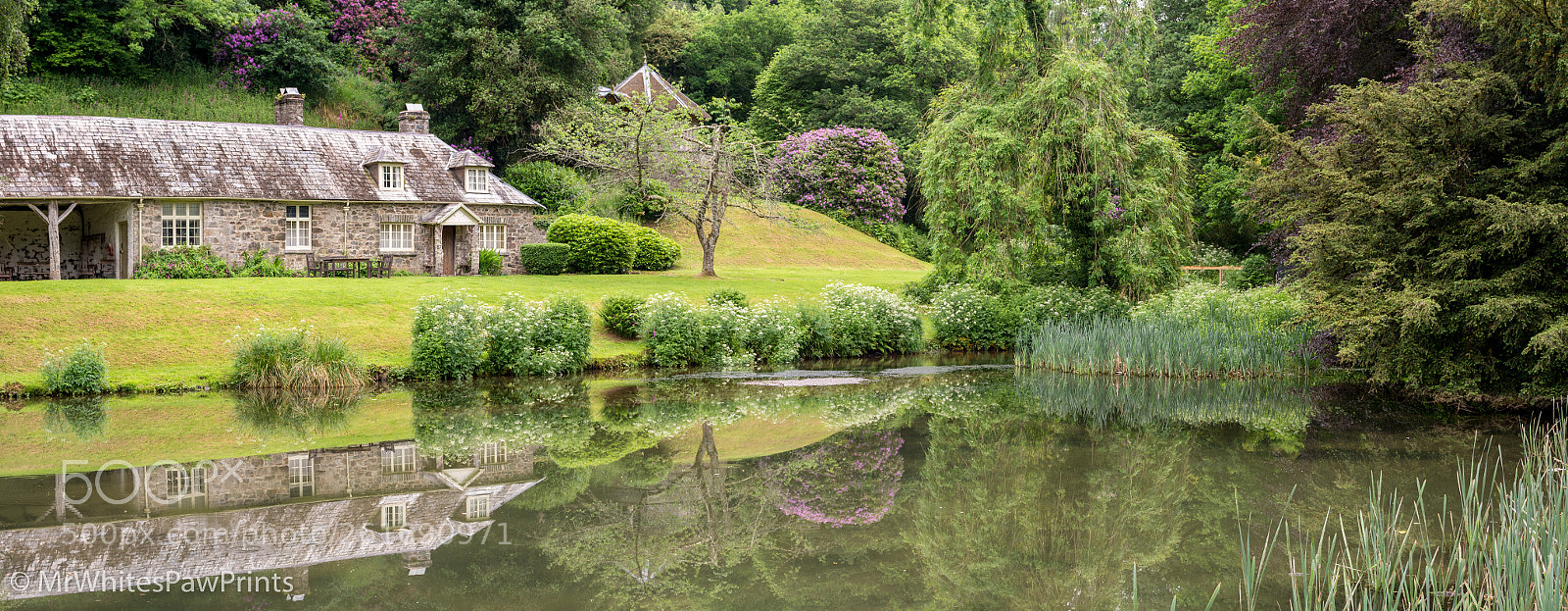 Nikon D7100 sample photo. Hotel endsleigh, devon photography