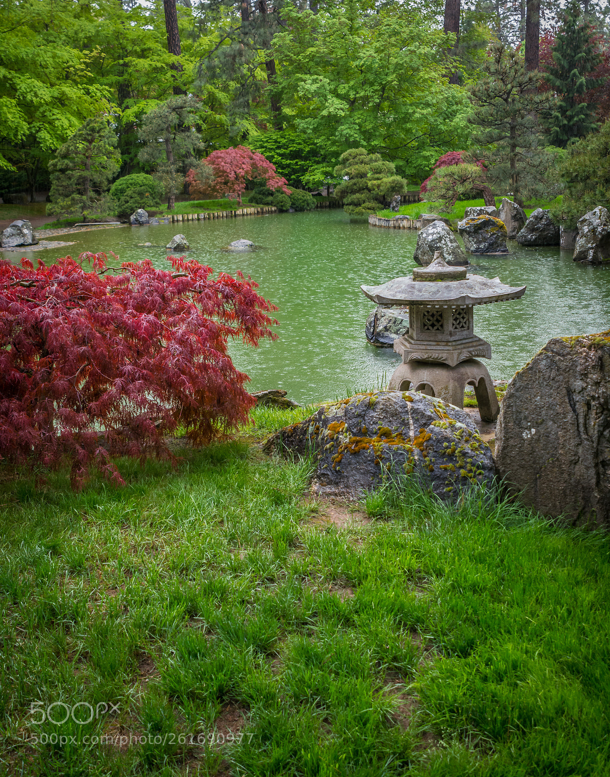 Nikon D7100 sample photo. Gardens in the rain photography