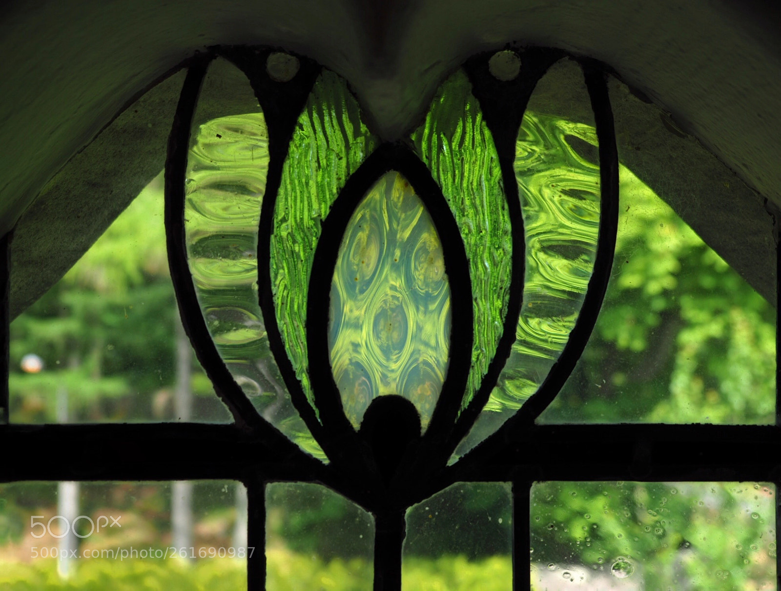 Olympus OM-D E-M1 Mark II sample photo. Salmon window detail photography