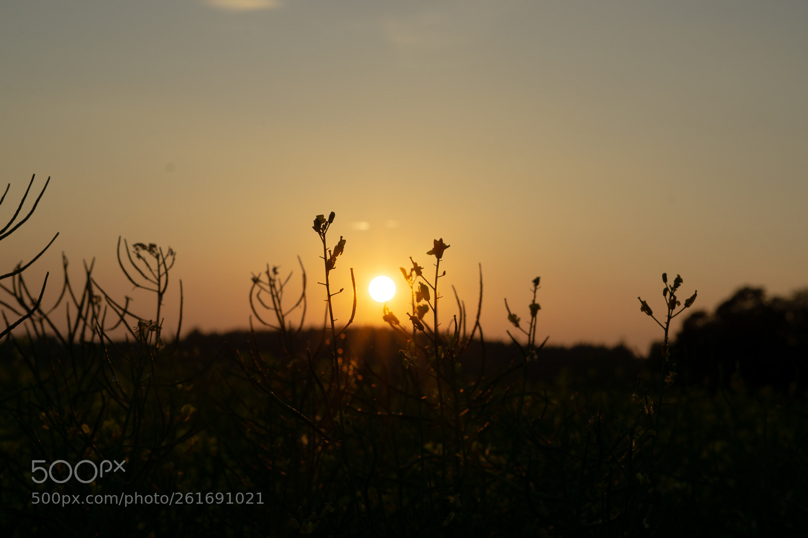 Sony a6000 sample photo. Sunset photography