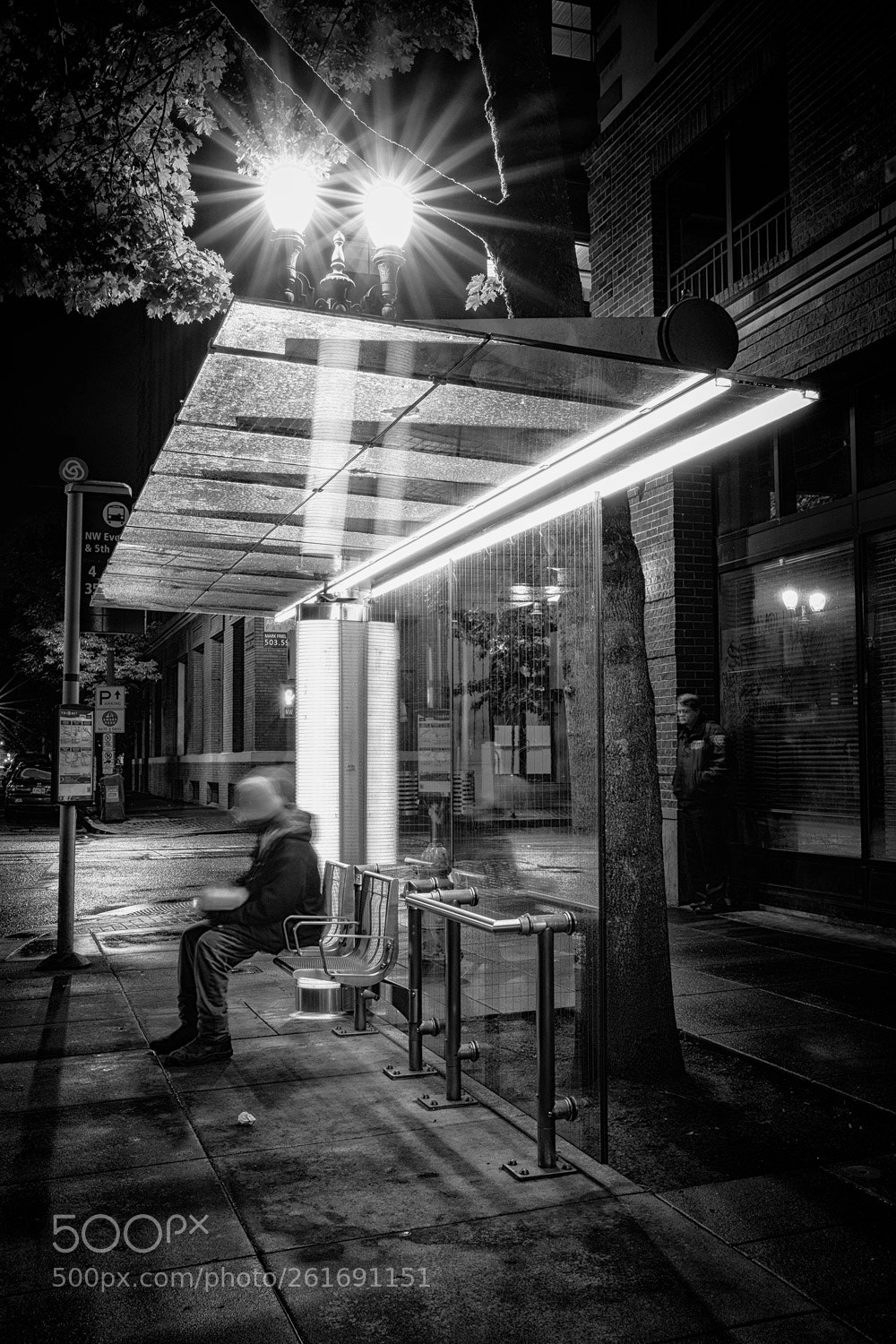 Fujifilm X-T2 sample photo. Watchful eyes... photography