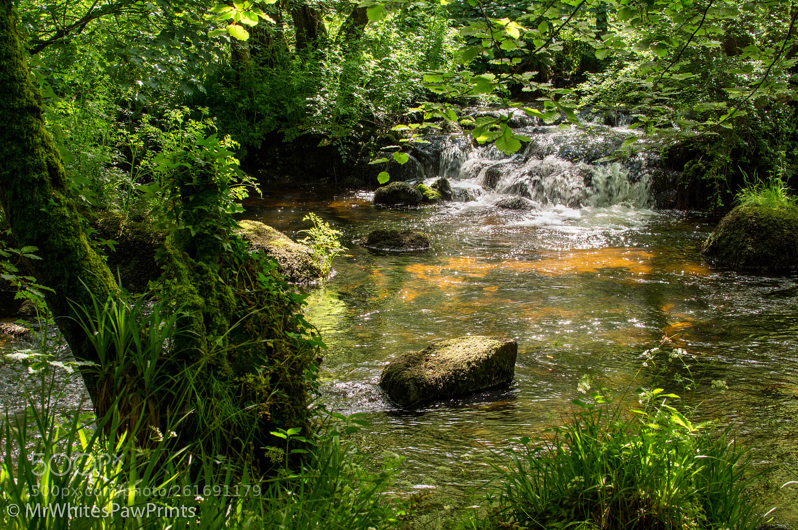 Nikon D7100 sample photo. River teign, chagford photography